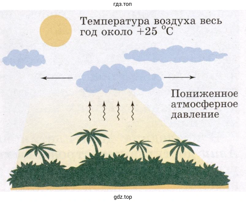 Почему в пределах экваториального пояса, круглый год высокая температура воздуха, весь год пониженное атмосферное давление