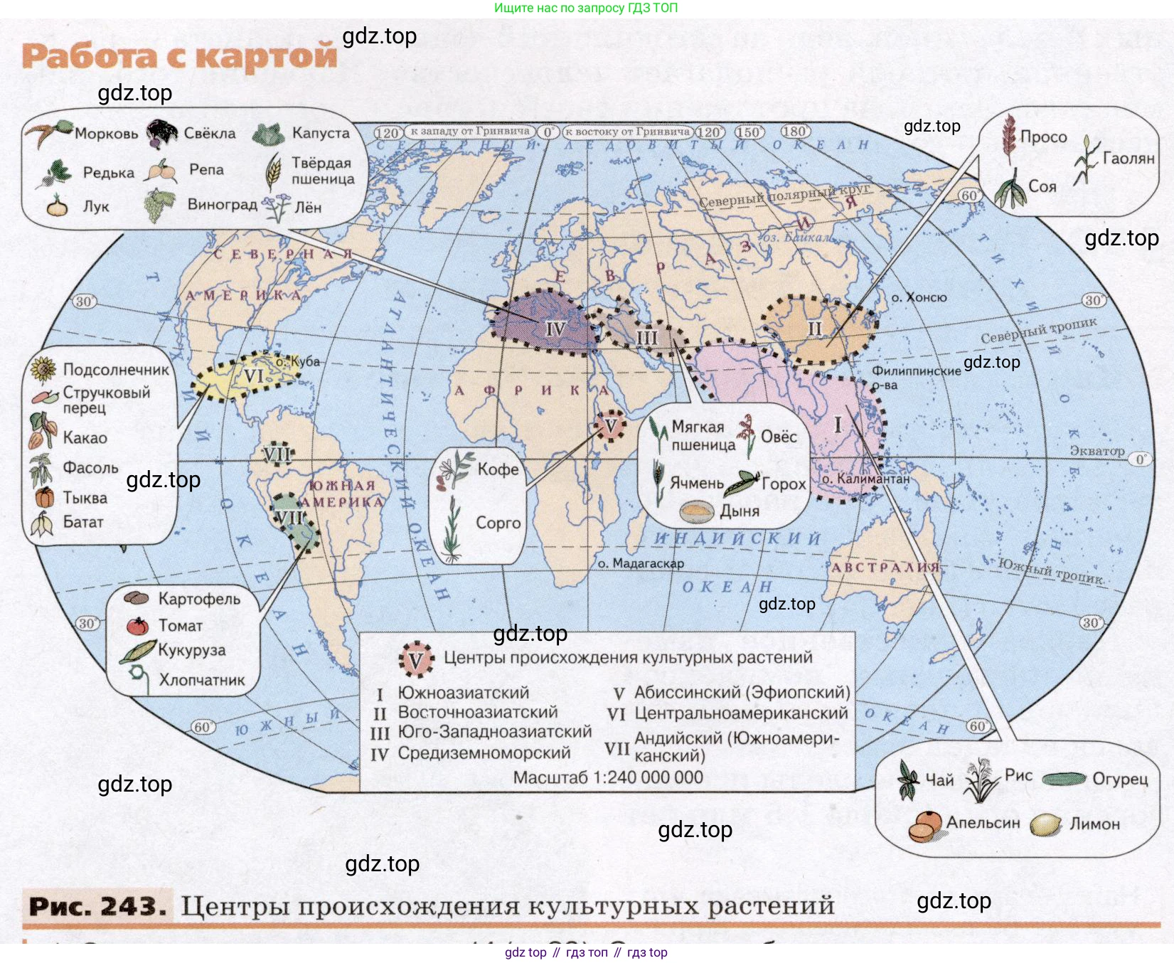 География, 7 класс Учебник, авторы: Климанова Оксана Александровна, Климанов Владимир Викторович, Ким Эльвира Васильевна, Сиротин Владимир Иванович, издательство Просвещение, Москва, 2021, белого цвета, страница 304, номер 1, Условие