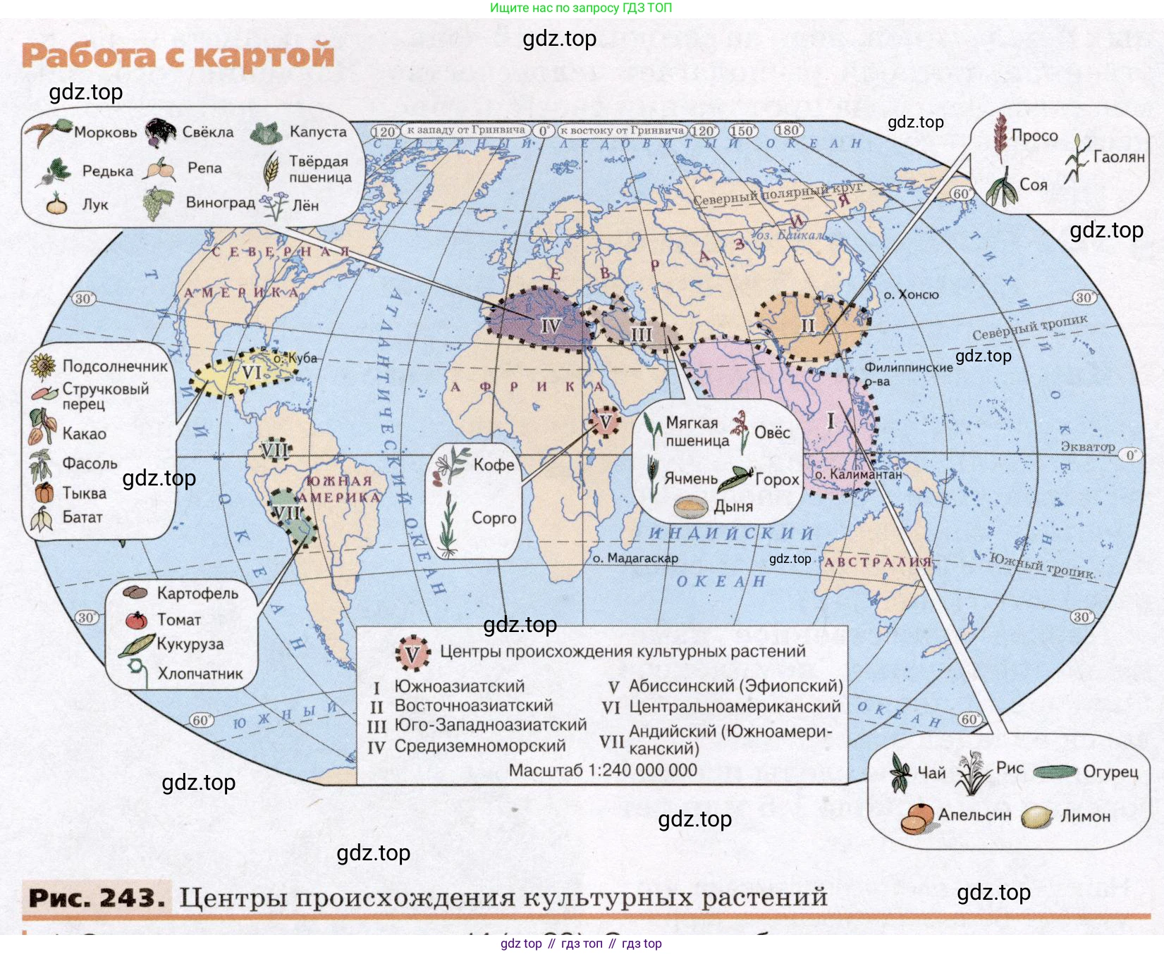 География, 7 класс Учебник, авторы: Климанова Оксана Александровна, Климанов Владимир Викторович, Ким Эльвира Васильевна, Сиротин Владимир Иванович, издательство Просвещение, Москва, 2021, белого цвета, страница 304, номер 2, Условие