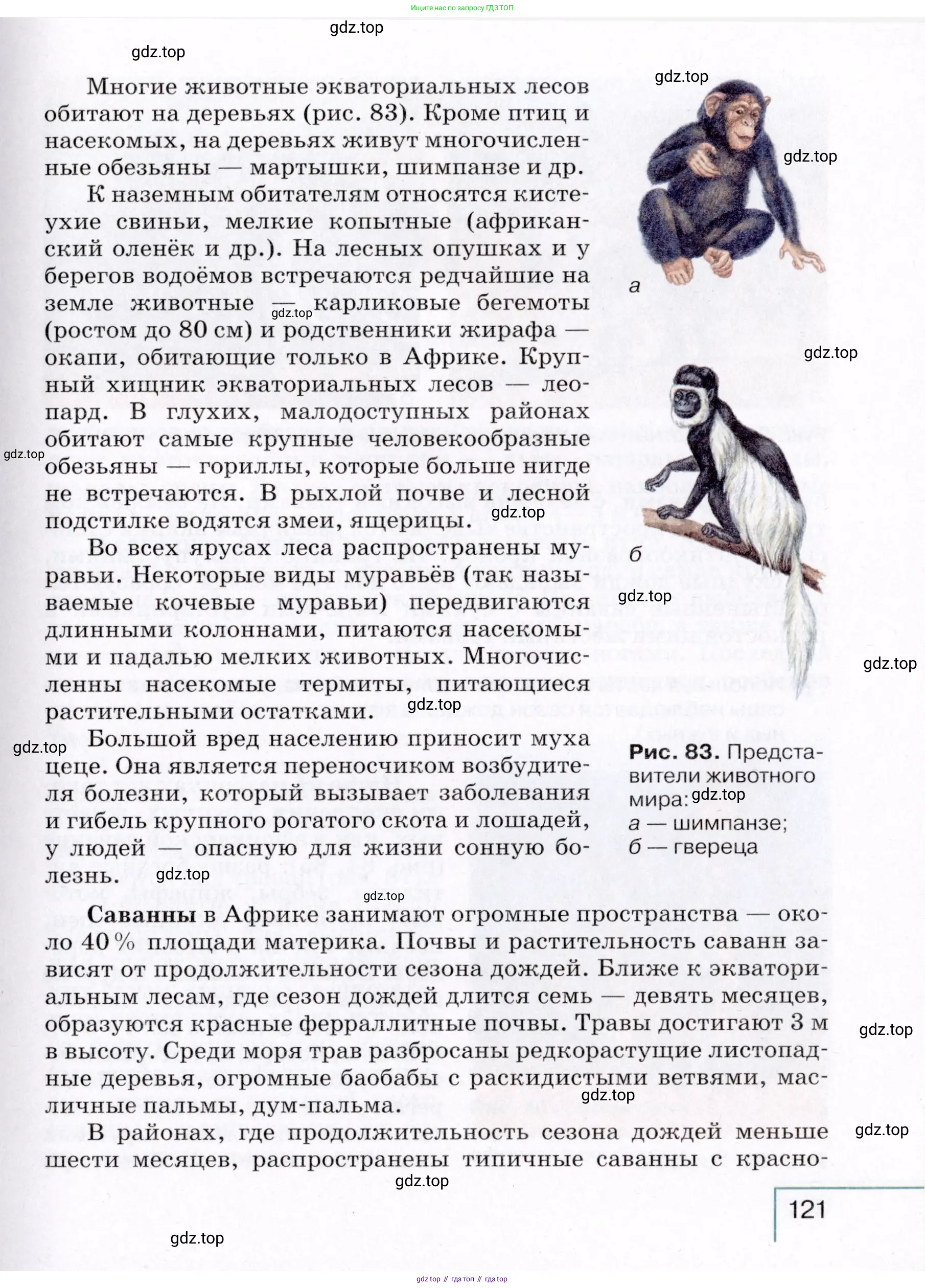 География, 7 класс Учебник, авторы: Коринская Валентина Александровна, Душина Ираида Владимировна, Щенев Владимир Андреевич, издательство Просвещение, Москва, 2022, зелёного цвета, страница 121