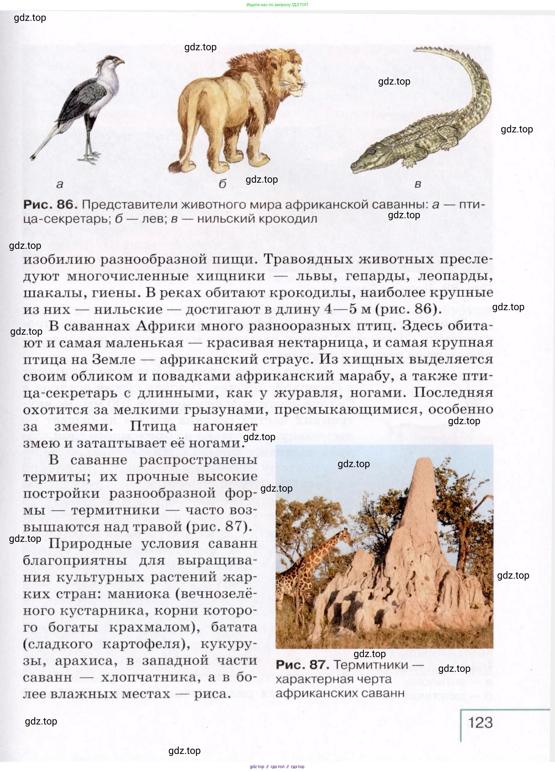 География, 7 класс Учебник, авторы: Коринская Валентина Александровна, Душина Ираида Владимировна, Щенев Владимир Андреевич, издательство Просвещение, Москва, 2022, зелёного цвета, страница 123