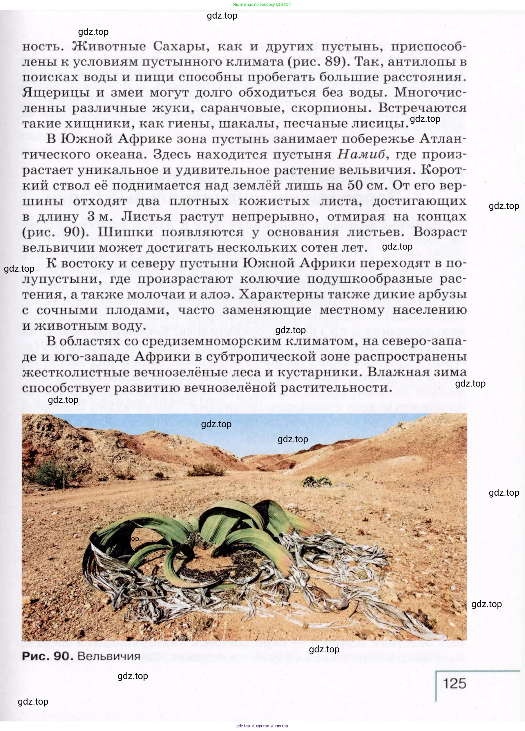 География, 7 класс Учебник, авторы: Коринская Валентина Александровна, Душина Ираида Владимировна, Щенев Владимир Андреевич, издательство Просвещение, Москва, 2022, зелёного цвета, страница 125