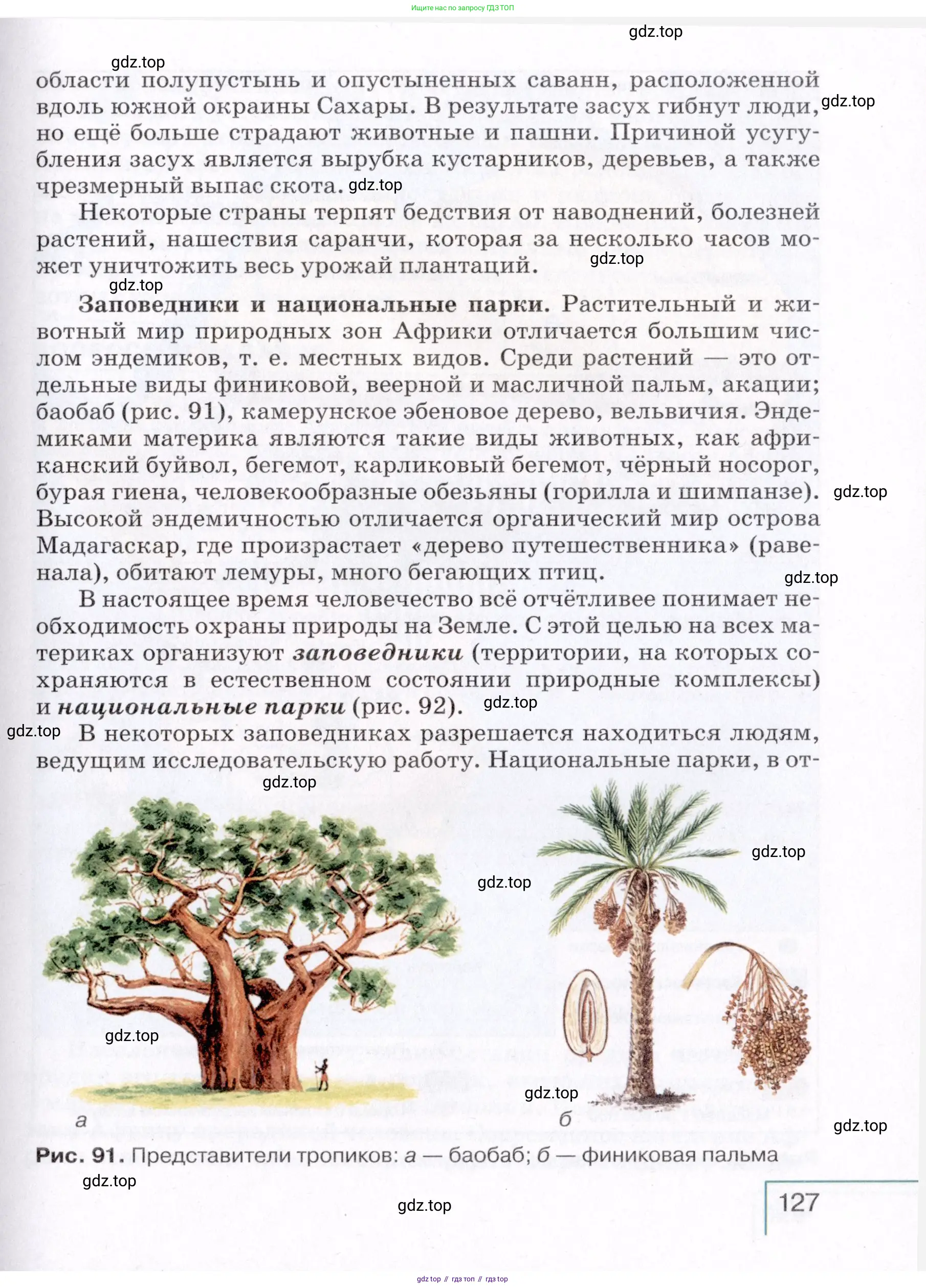 География, 7 класс Учебник, авторы: Коринская Валентина Александровна, Душина Ираида Владимировна, Щенев Владимир Андреевич, издательство Просвещение, Москва, 2022, зелёного цвета, страница 127