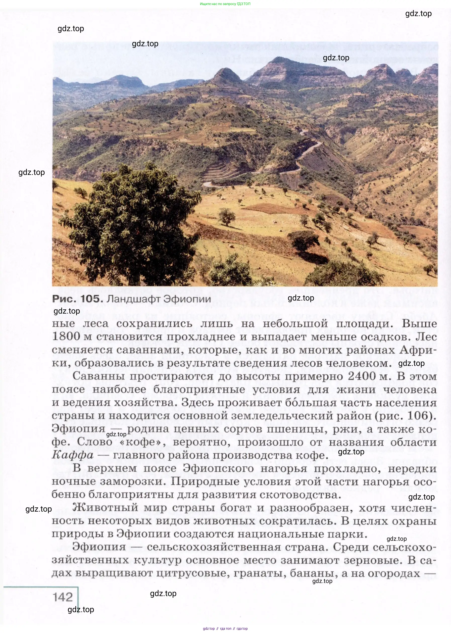 География, 7 класс Учебник, авторы: Коринская Валентина Александровна, Душина Ираида Владимировна, Щенев Владимир Андреевич, издательство Просвещение, Москва, 2022, зелёного цвета, страница 142