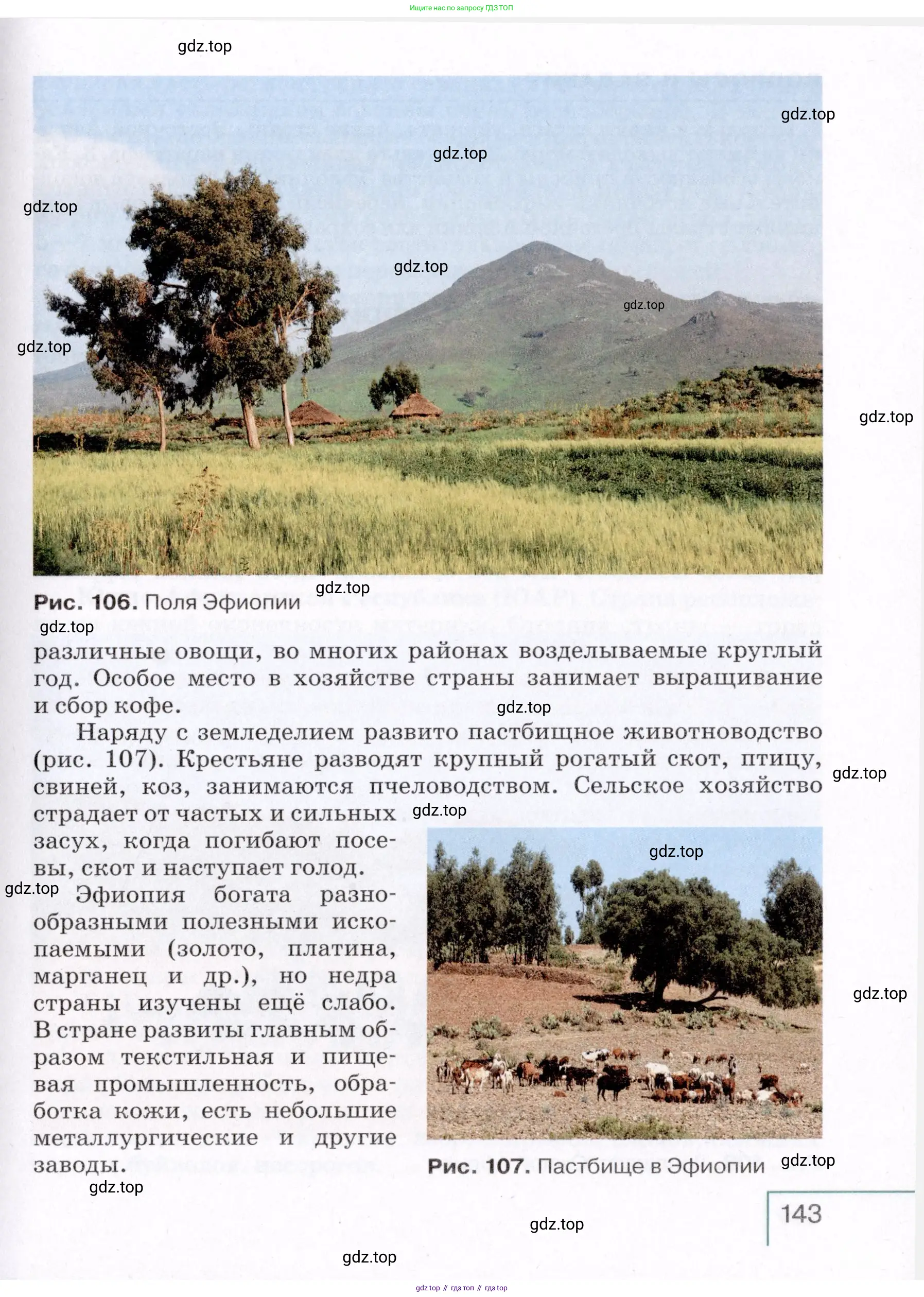 География, 7 класс Учебник, авторы: Коринская Валентина Александровна, Душина Ираида Владимировна, Щенев Владимир Андреевич, издательство Просвещение, Москва, 2022, зелёного цвета, страница 143