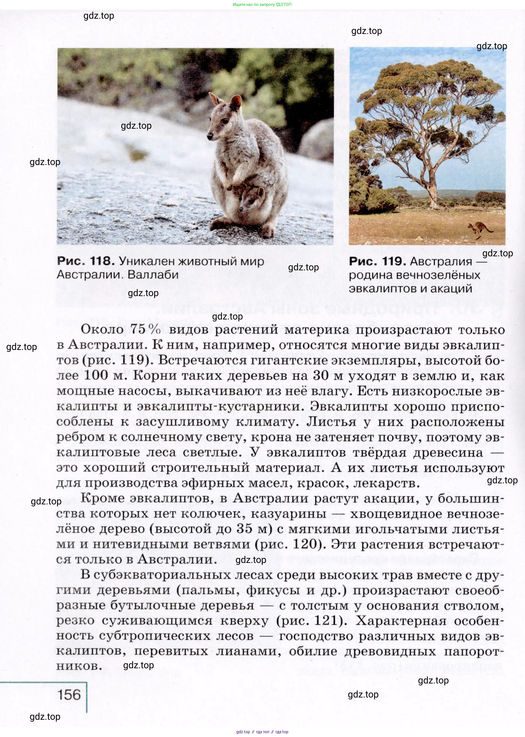 География, 7 класс Учебник, авторы: Коринская Валентина Александровна, Душина Ираида Владимировна, Щенев Владимир Андреевич, издательство Просвещение, Москва, 2022, зелёного цвета, страница 156