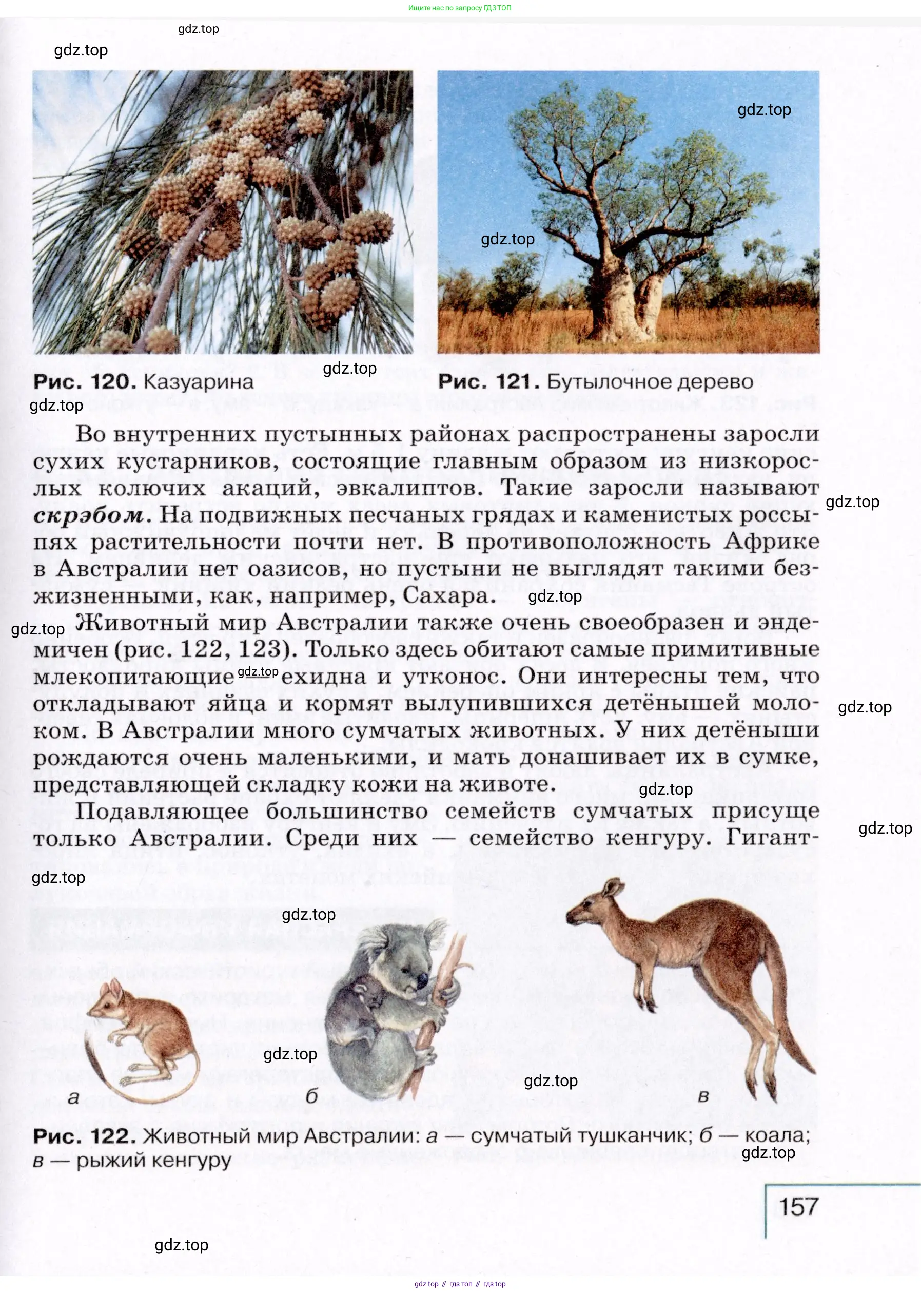 География, 7 класс Учебник, авторы: Коринская Валентина Александровна, Душина Ираида Владимировна, Щенев Владимир Андреевич, издательство Просвещение, Москва, 2022, зелёного цвета, страница 157