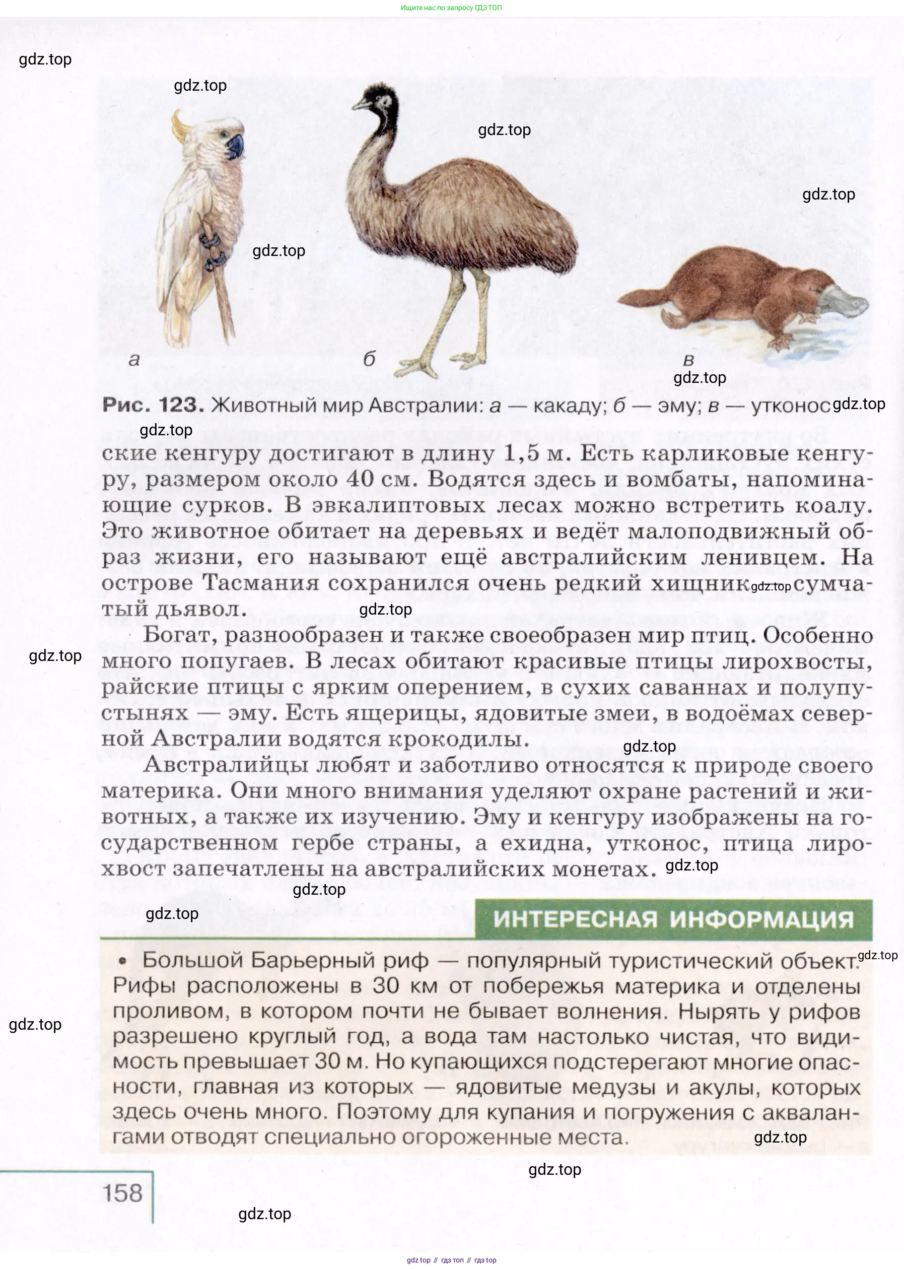 География, 7 класс Учебник, авторы: Коринская Валентина Александровна, Душина Ираида Владимировна, Щенев Владимир Андреевич, издательство Просвещение, Москва, 2022, зелёного цвета, страница 158