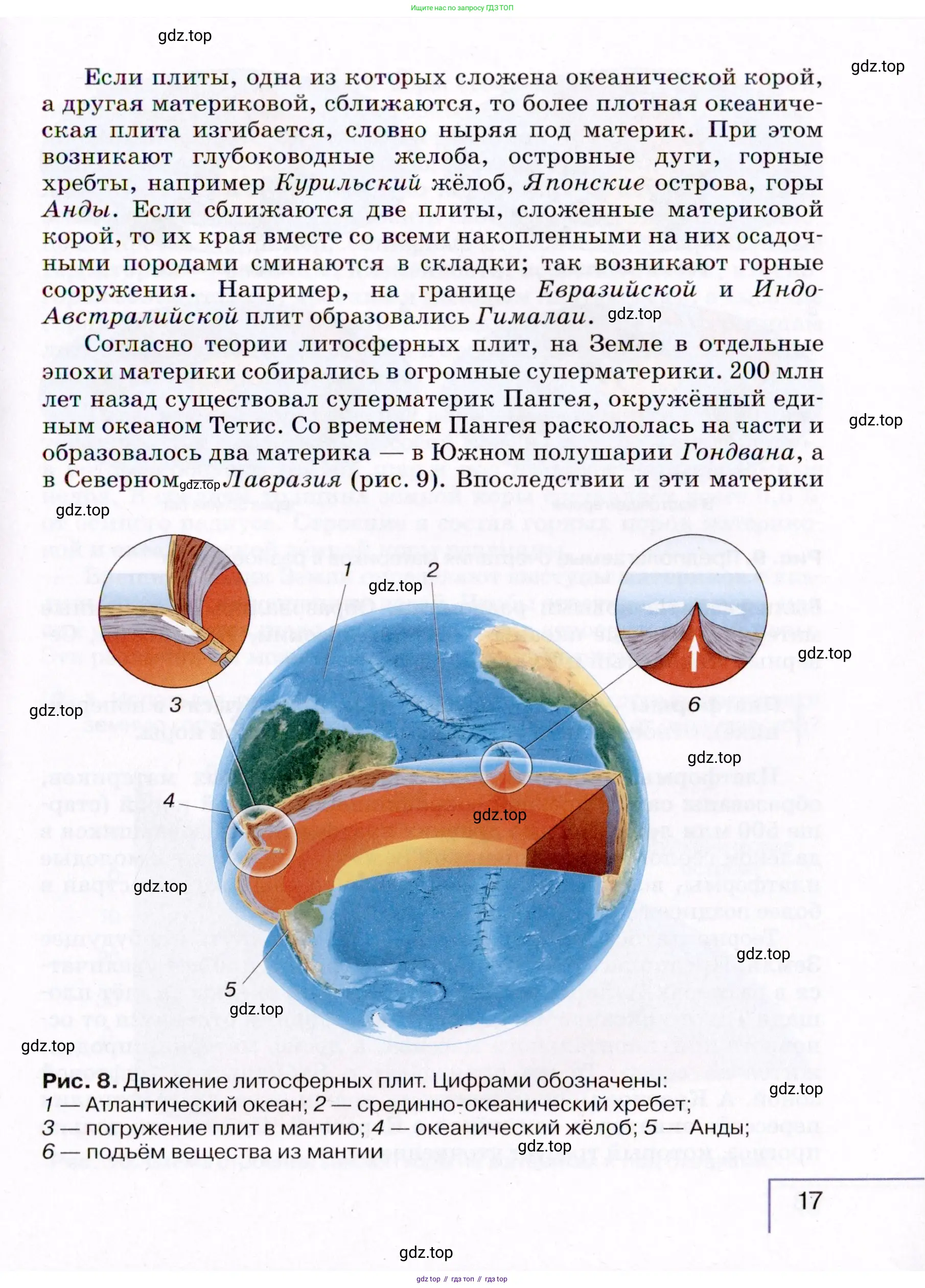 География, 7 класс Учебник, авторы: Коринская Валентина Александровна, Душина Ираида Владимировна, Щенев Владимир Андреевич, издательство Просвещение, Москва, 2022, зелёного цвета, страница 17