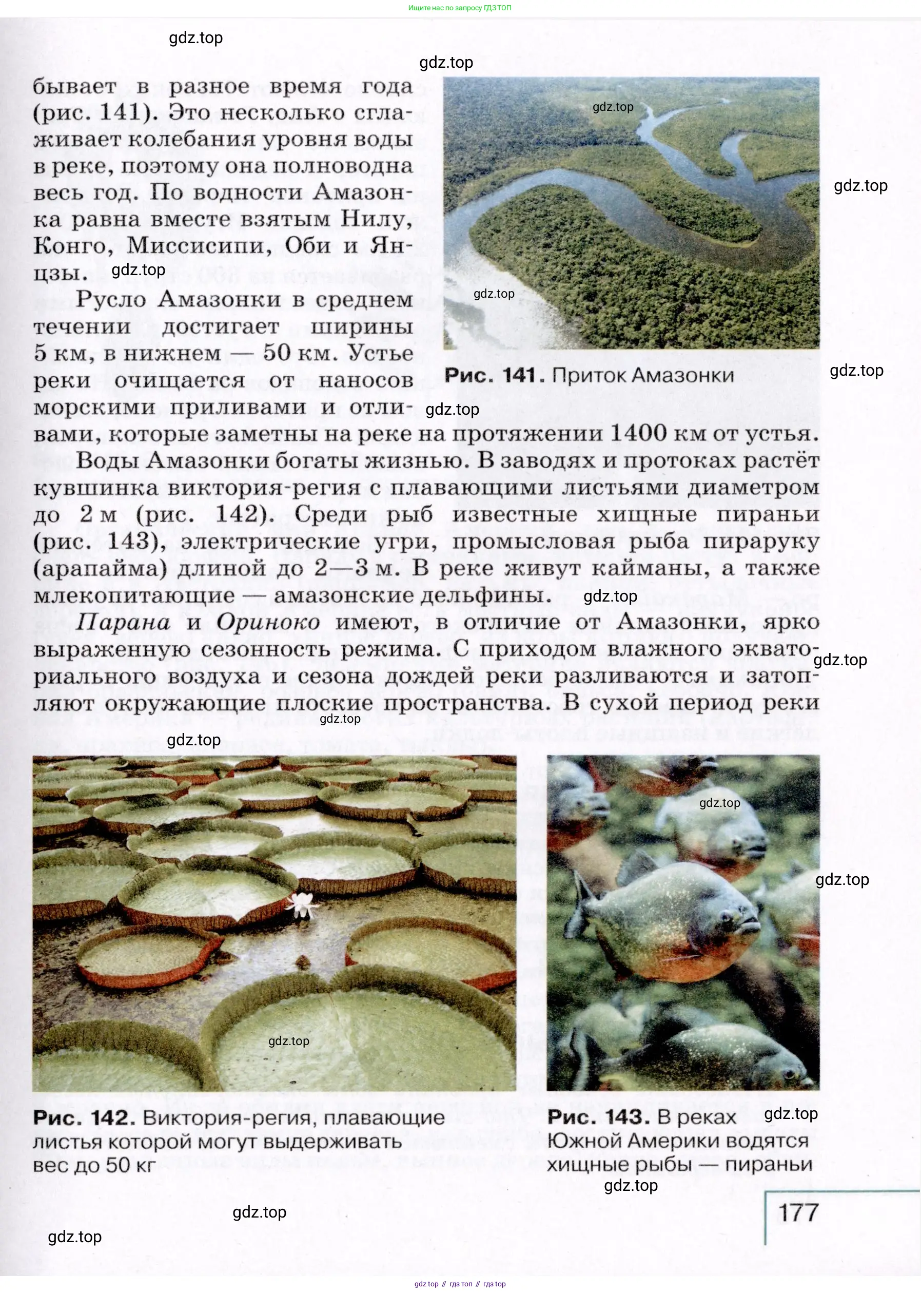 География, 7 класс Учебник, авторы: Коринская Валентина Александровна, Душина Ираида Владимировна, Щенев Владимир Андреевич, издательство Просвещение, Москва, 2022, зелёного цвета, страница 177