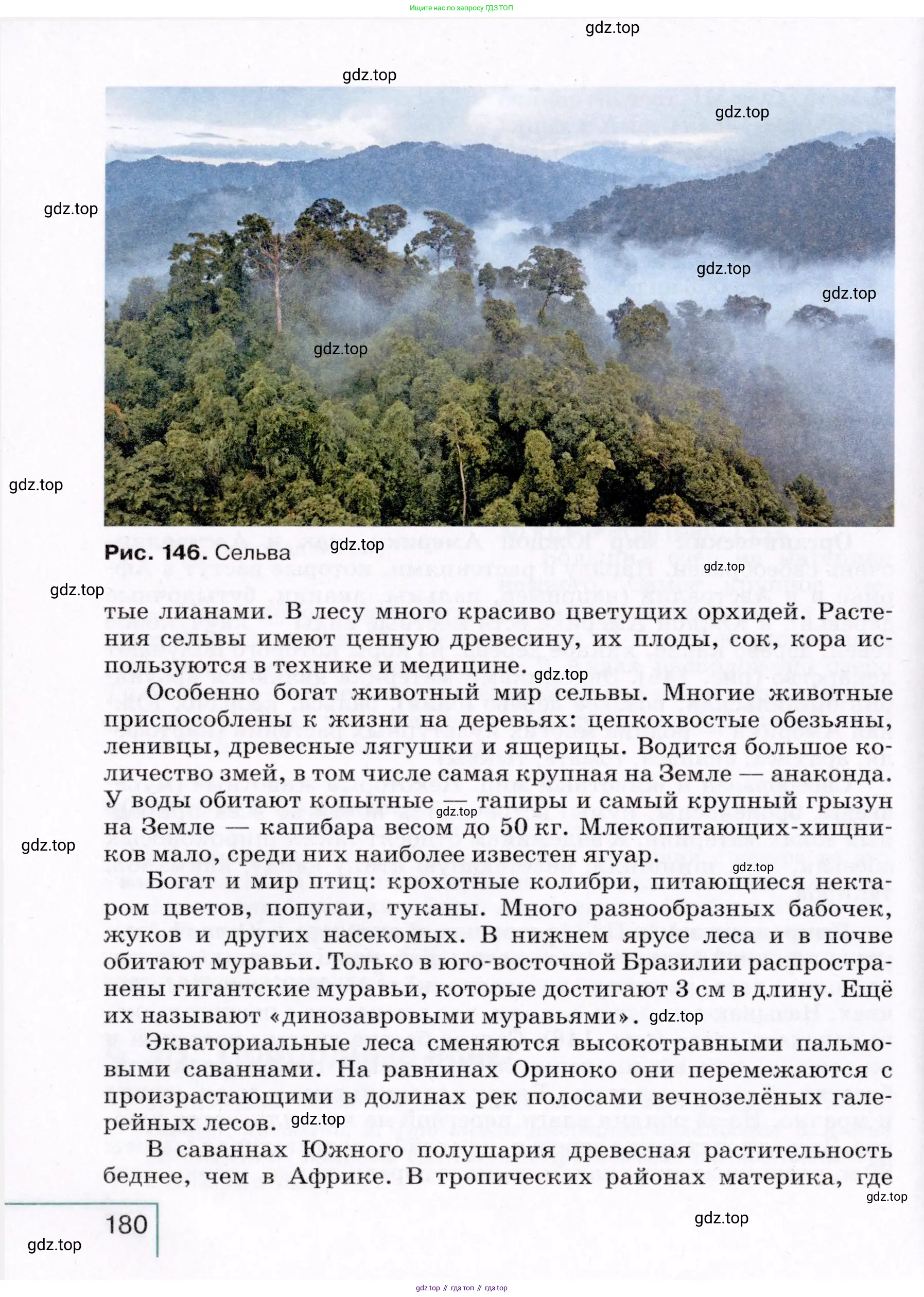География, 7 класс Учебник, авторы: Коринская Валентина Александровна, Душина Ираида Владимировна, Щенев Владимир Андреевич, издательство Просвещение, Москва, 2022, зелёного цвета, страница 180