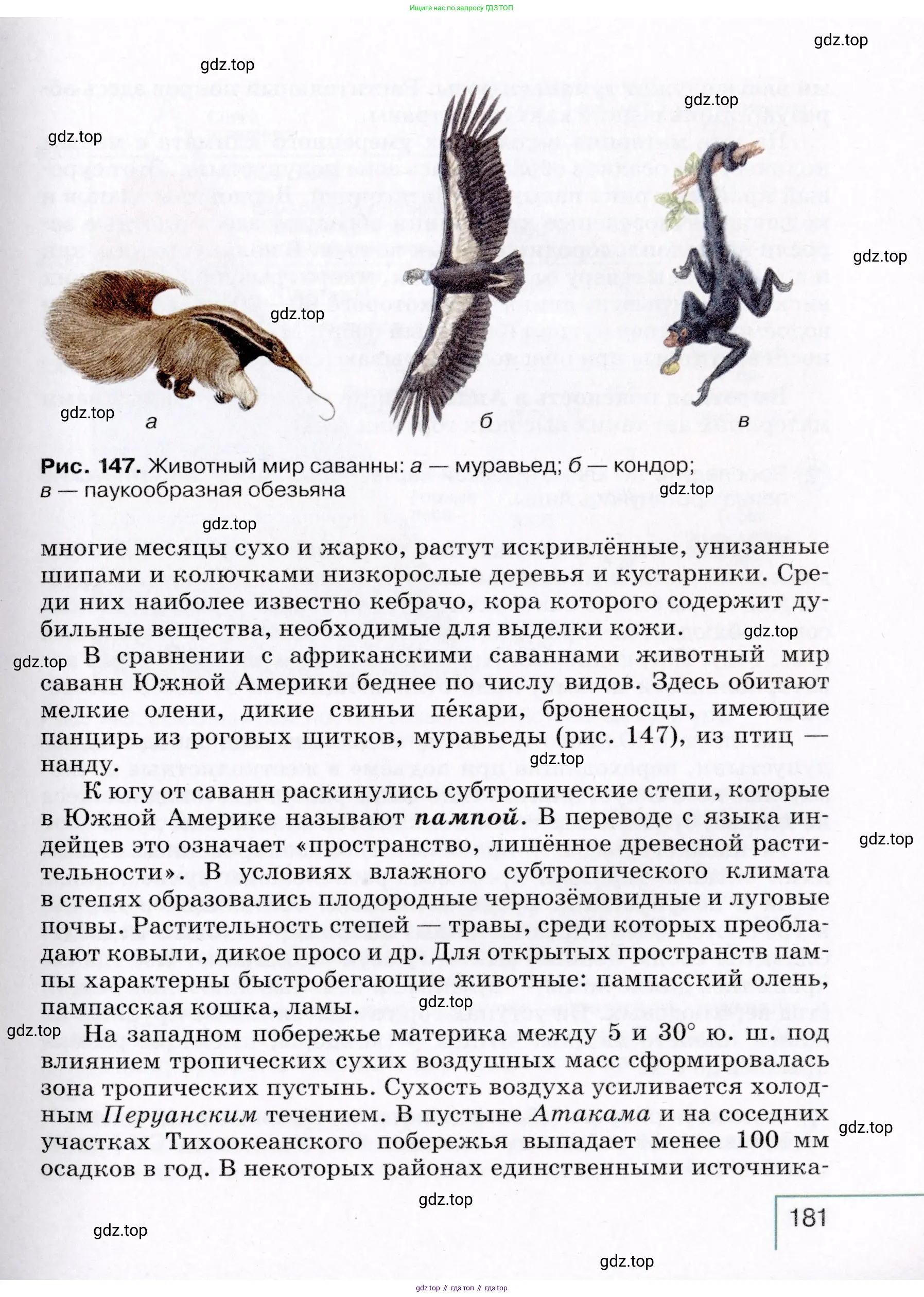 География, 7 класс Учебник, авторы: Коринская Валентина Александровна, Душина Ираида Владимировна, Щенев Владимир Андреевич, издательство Просвещение, Москва, 2022, зелёного цвета, страница 181