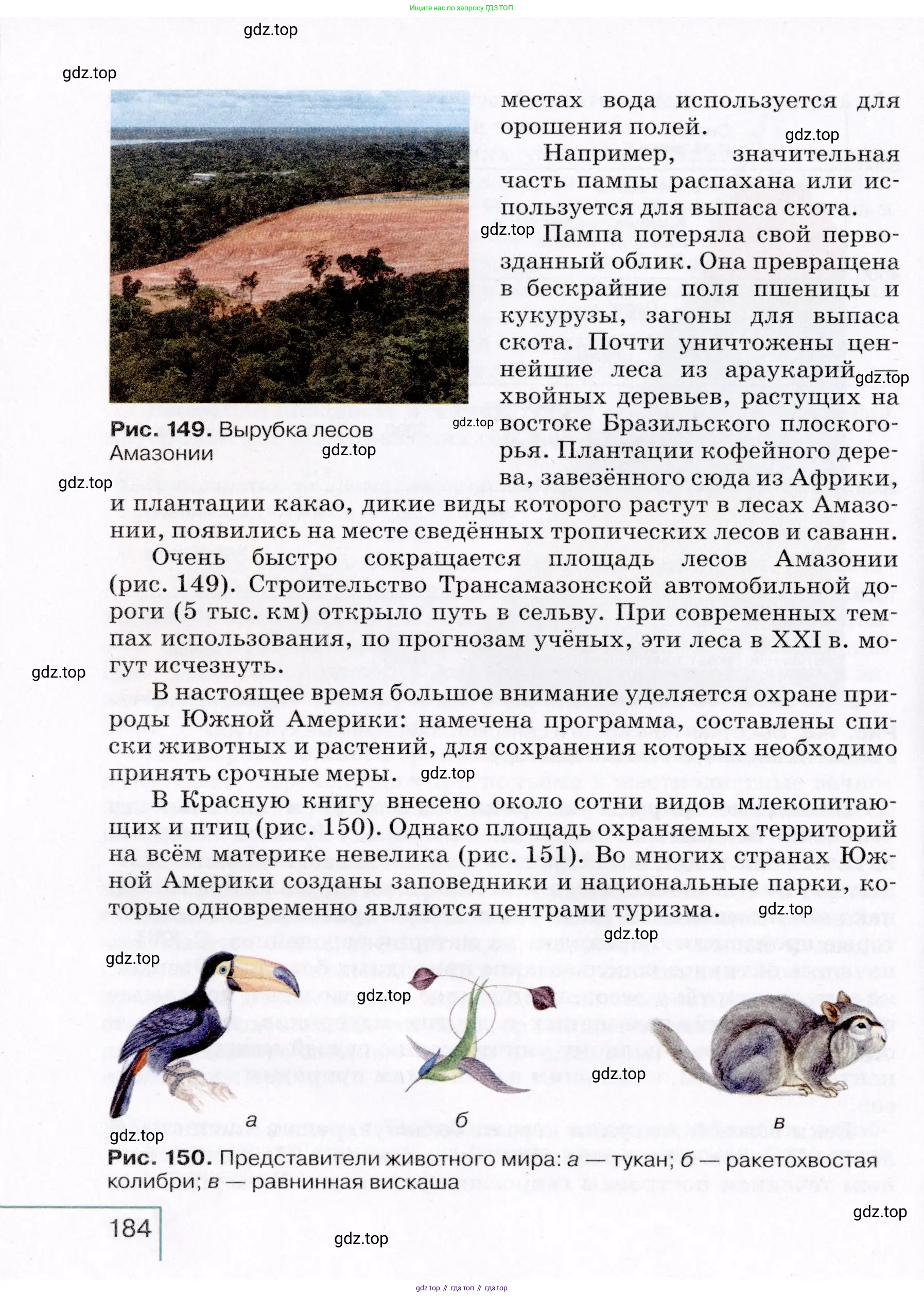 География, 7 класс Учебник, авторы: Коринская Валентина Александровна, Душина Ираида Владимировна, Щенев Владимир Андреевич, издательство Просвещение, Москва, 2022, зелёного цвета, страница 184