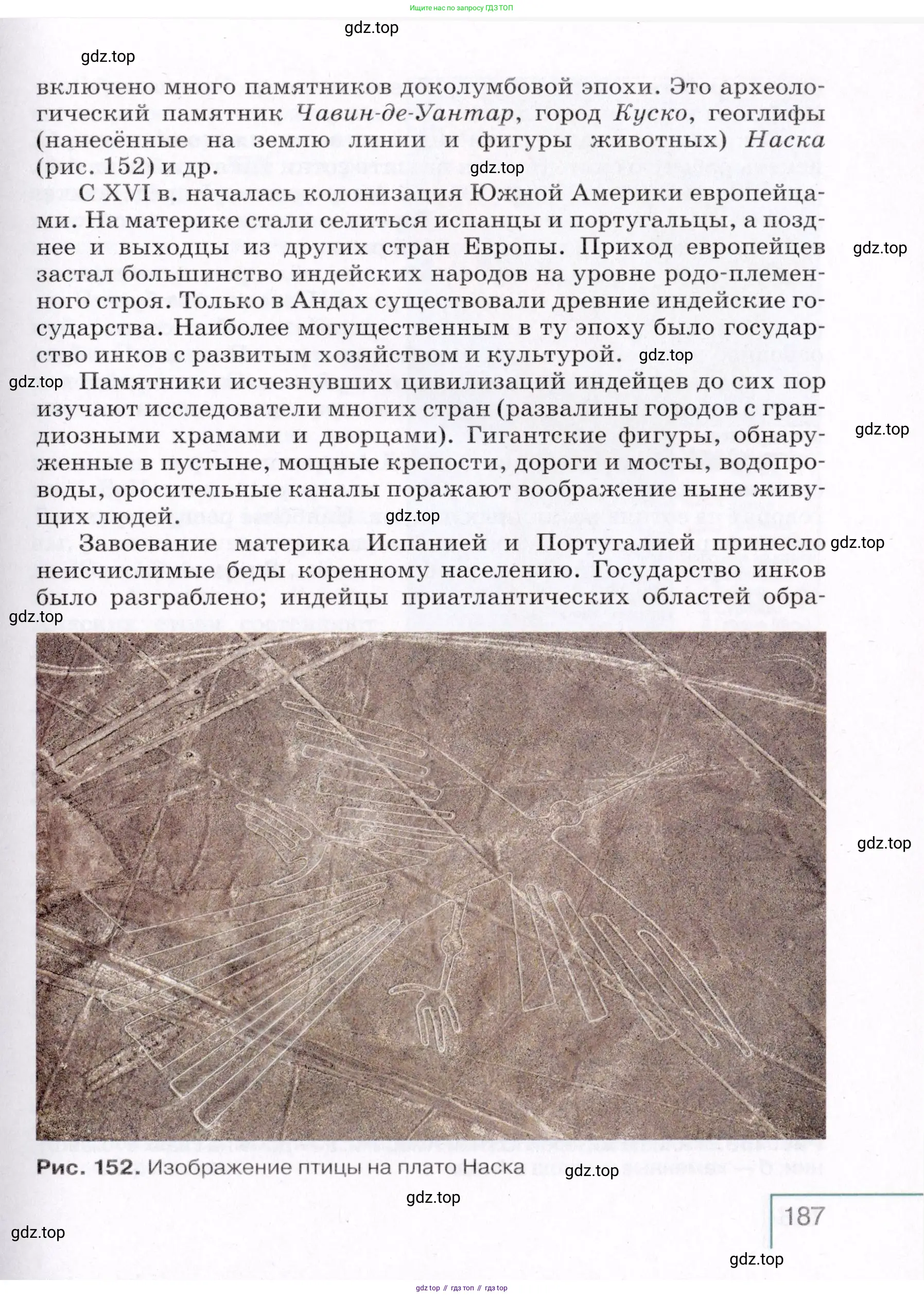 География, 7 класс Учебник, авторы: Коринская Валентина Александровна, Душина Ираида Владимировна, Щенев Владимир Андреевич, издательство Просвещение, Москва, 2022, зелёного цвета, страница 187