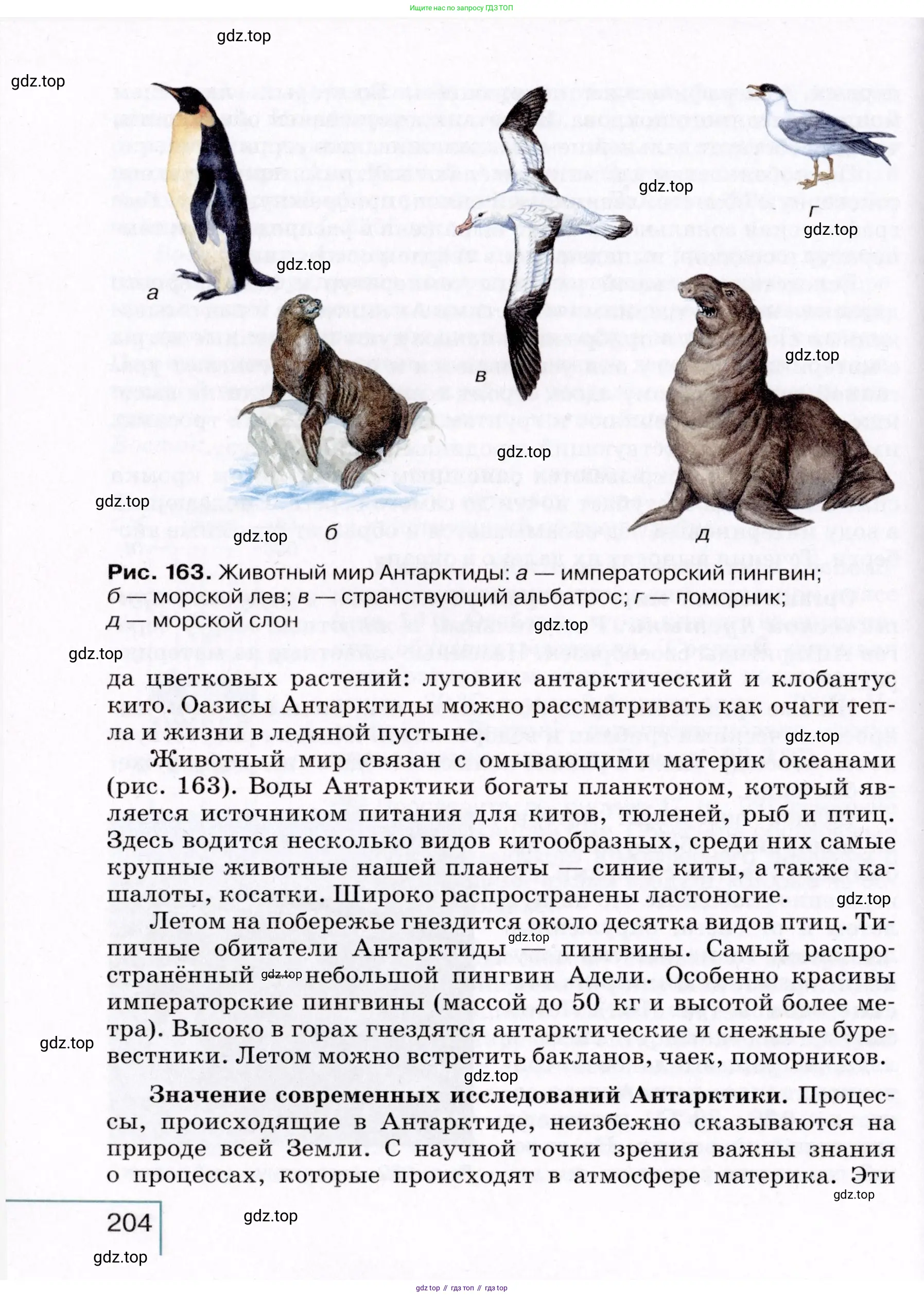 География, 7 класс Учебник, авторы: Коринская Валентина Александровна, Душина Ираида Владимировна, Щенев Владимир Андреевич, издательство Просвещение, Москва, 2022, зелёного цвета, страница 204