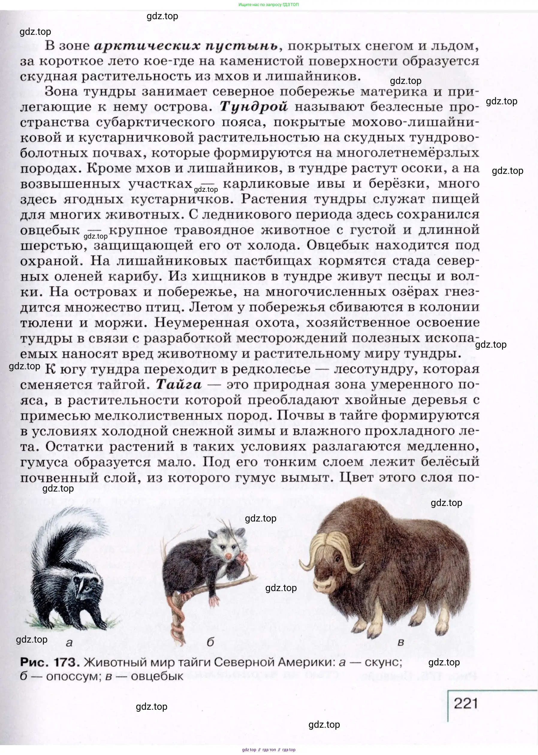 География, 7 класс Учебник, авторы: Коринская Валентина Александровна, Душина Ираида Владимировна, Щенев Владимир Андреевич, издательство Просвещение, Москва, 2022, зелёного цвета, страница 221