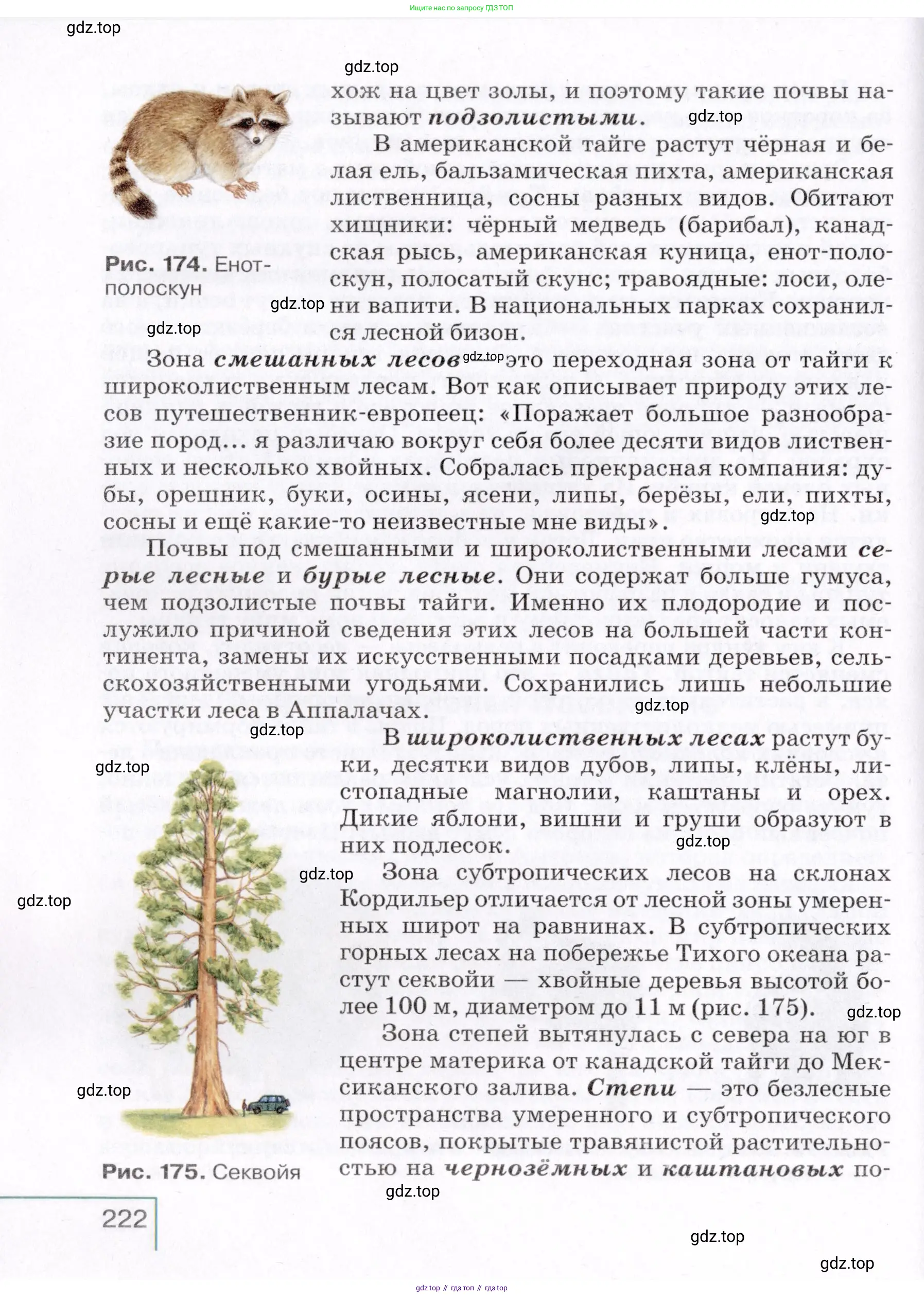 География, 7 класс Учебник, авторы: Коринская Валентина Александровна, Душина Ираида Владимировна, Щенев Владимир Андреевич, издательство Просвещение, Москва, 2022, зелёного цвета, страница 222
