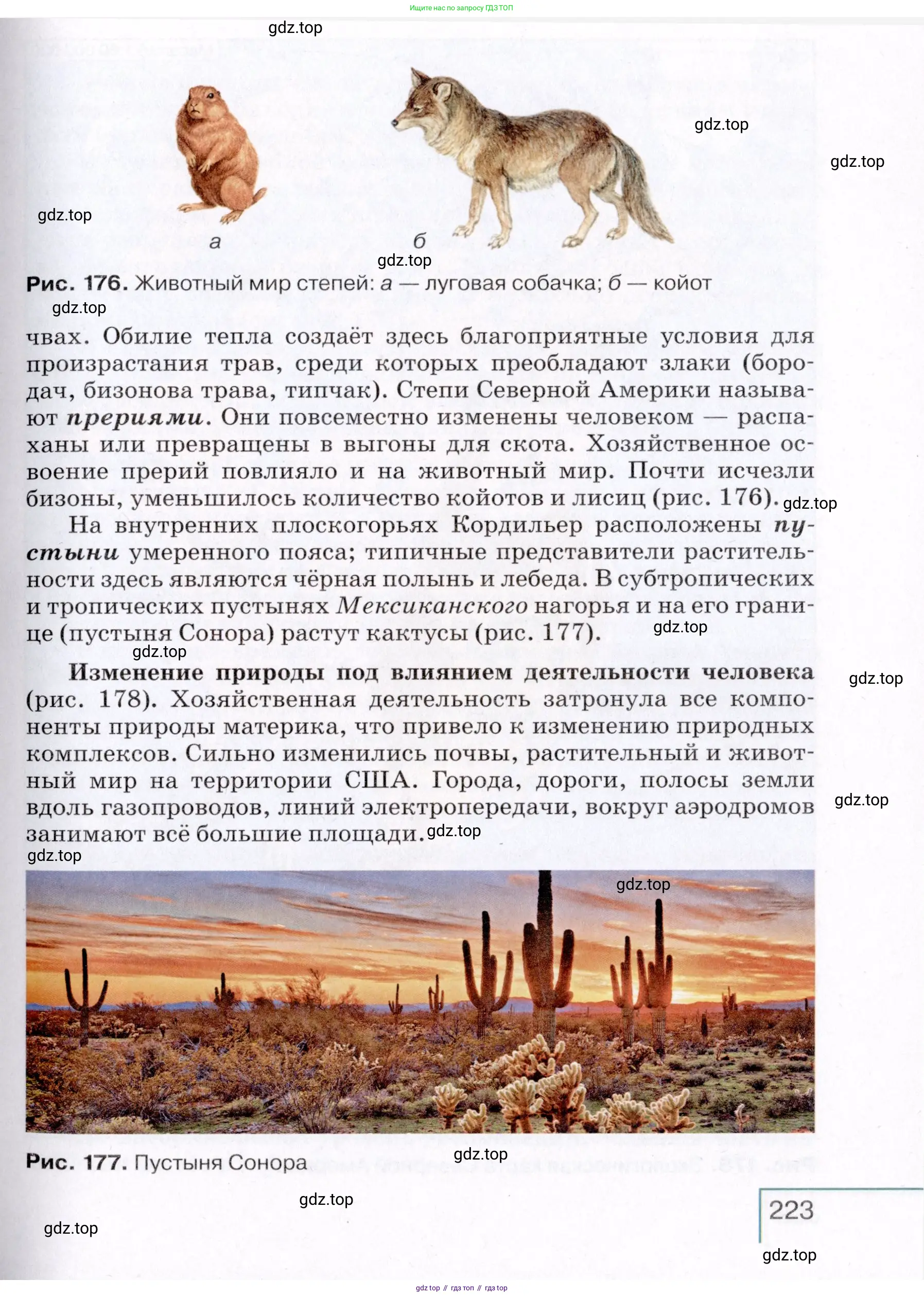 География, 7 класс Учебник, авторы: Коринская Валентина Александровна, Душина Ираида Владимировна, Щенев Владимир Андреевич, издательство Просвещение, Москва, 2022, зелёного цвета, страница 223
