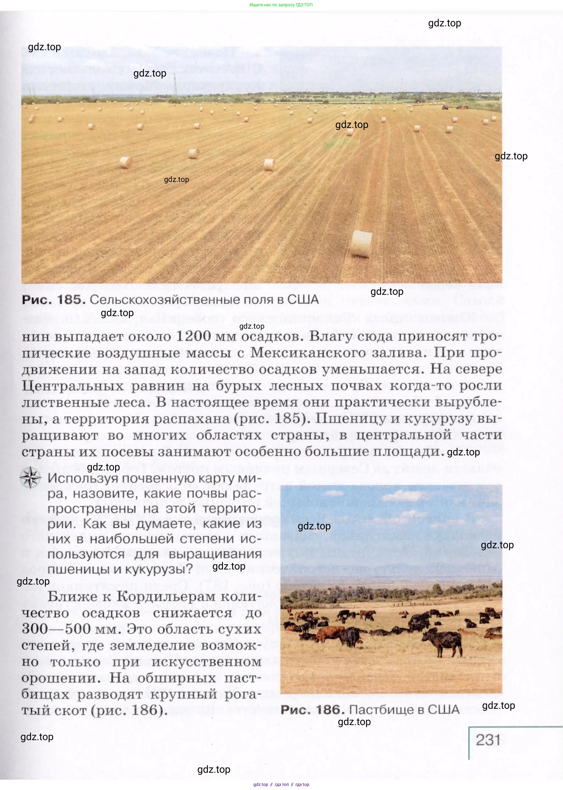 География, 7 класс Учебник, авторы: Коринская Валентина Александровна, Душина Ираида Владимировна, Щенев Владимир Андреевич, издательство Просвещение, Москва, 2022, зелёного цвета, страница 231