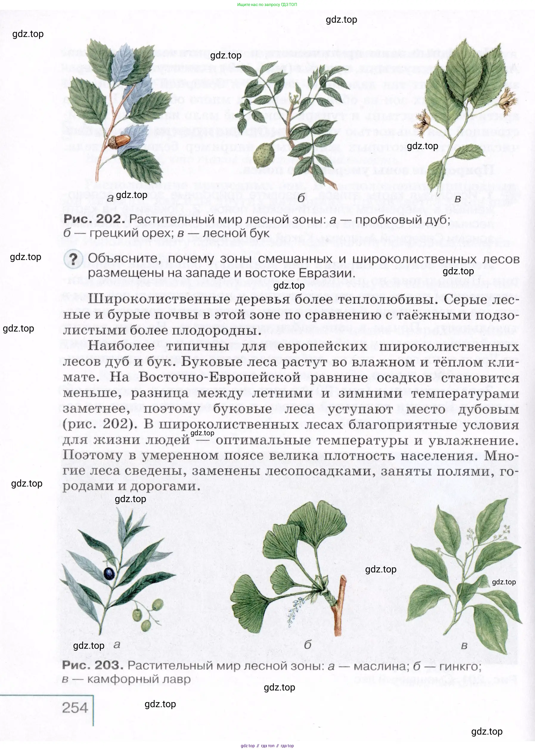 География, 7 класс Учебник, авторы: Коринская Валентина Александровна, Душина Ираида Владимировна, Щенев Владимир Андреевич, издательство Просвещение, Москва, 2022, зелёного цвета, страница 254