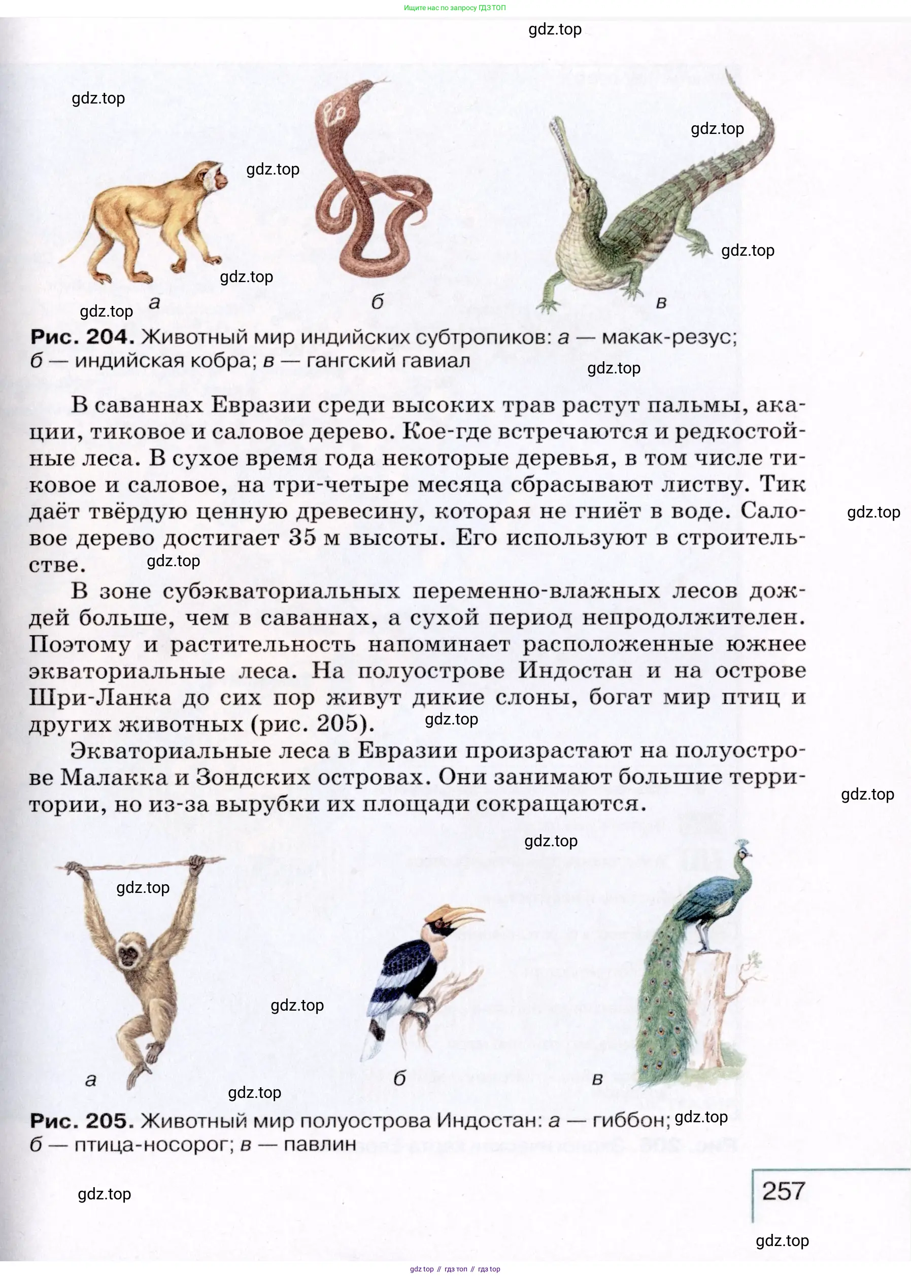 География, 7 класс Учебник, авторы: Коринская Валентина Александровна, Душина Ираида Владимировна, Щенев Владимир Андреевич, издательство Просвещение, Москва, 2022, зелёного цвета, страница 257