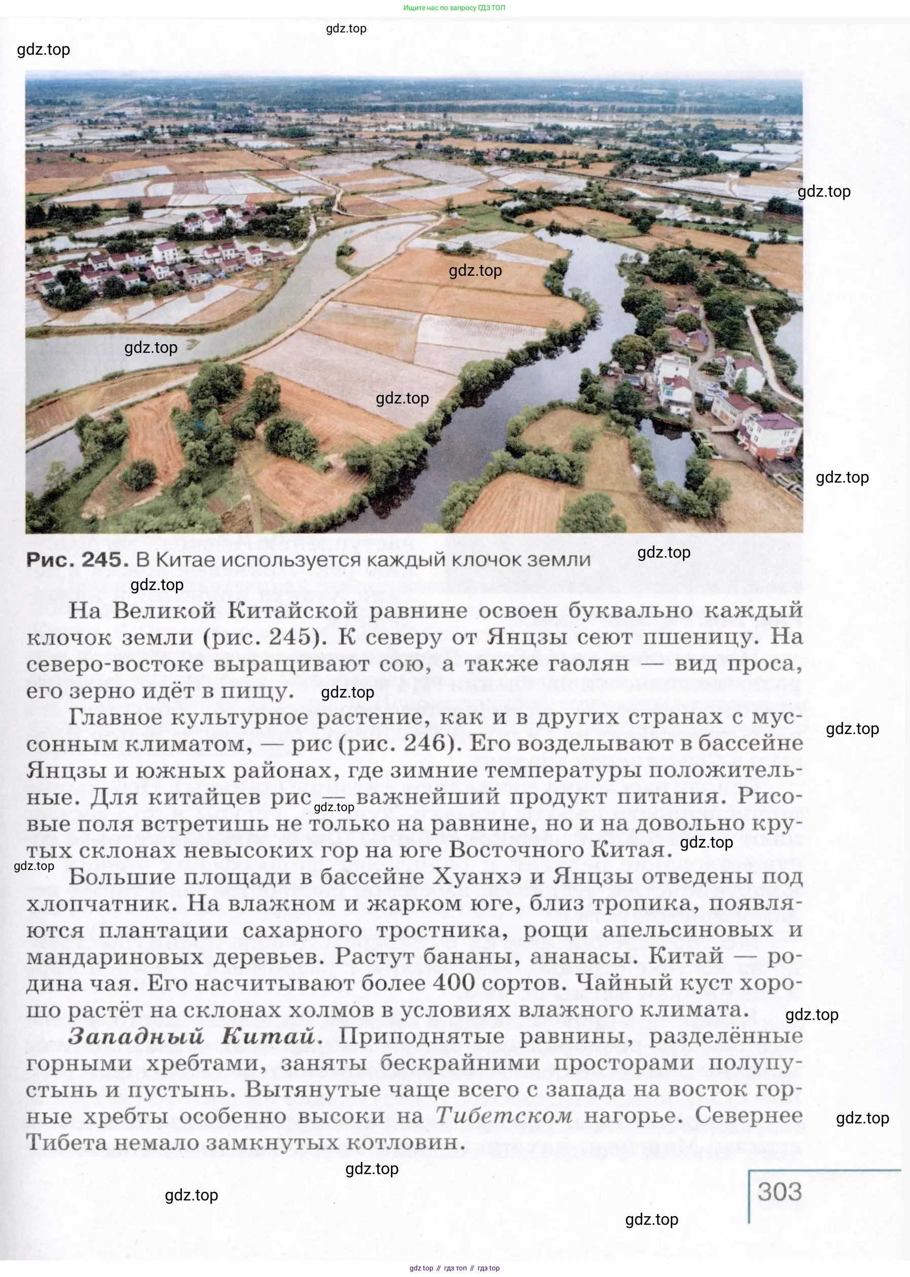 География, 7 класс Учебник, авторы: Коринская Валентина Александровна, Душина Ираида Владимировна, Щенев Владимир Андреевич, издательство Просвещение, Москва, 2022, зелёного цвета, страница 303