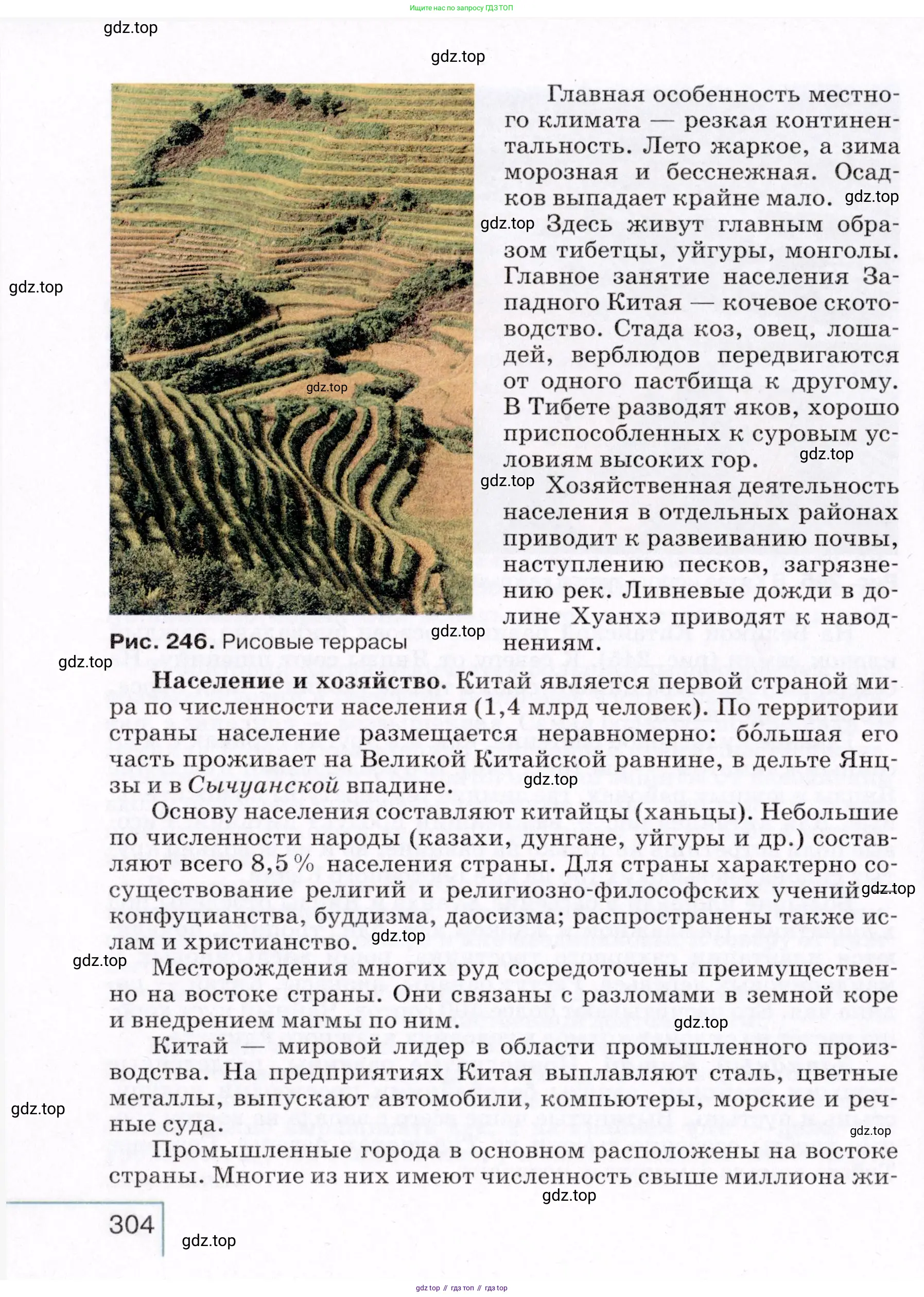 География, 7 класс Учебник, авторы: Коринская Валентина Александровна, Душина Ираида Владимировна, Щенев Владимир Андреевич, издательство Просвещение, Москва, 2022, зелёного цвета, страница 304