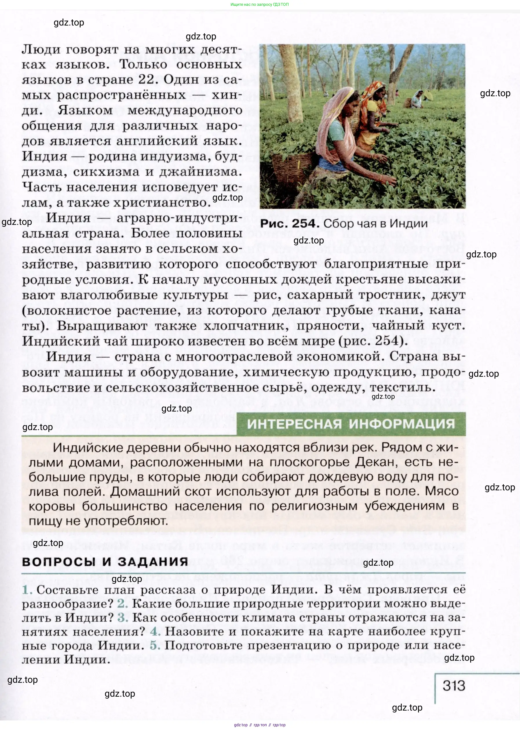 География, 7 класс Учебник, авторы: Коринская Валентина Александровна, Душина Ираида Владимировна, Щенев Владимир Андреевич, издательство Просвещение, Москва, 2022, зелёного цвета, страница 313