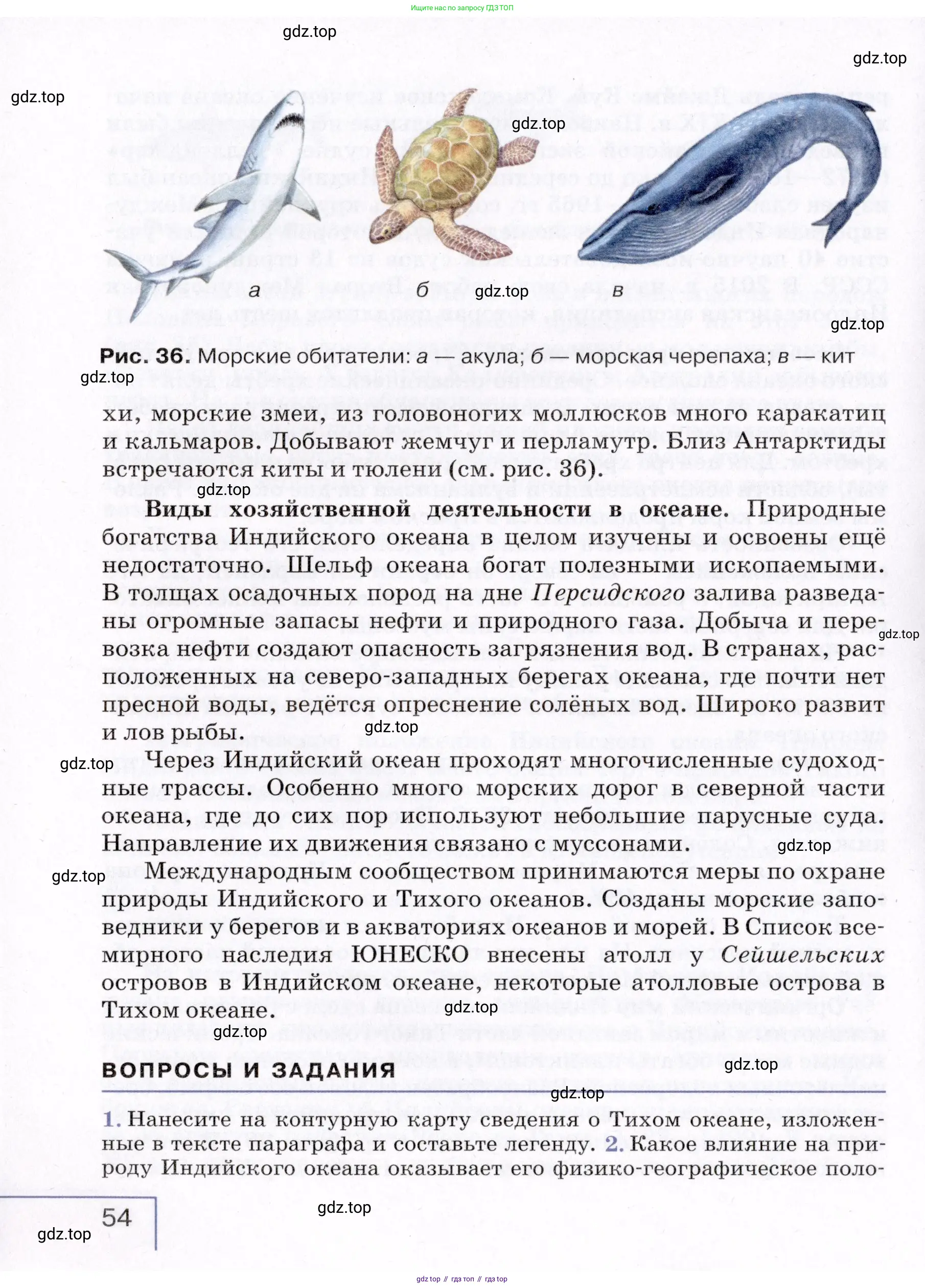 География, 7 класс Учебник, авторы: Коринская Валентина Александровна, Душина Ираида Владимировна, Щенев Владимир Андреевич, издательство Просвещение, Москва, 2022, зелёного цвета, страница 54