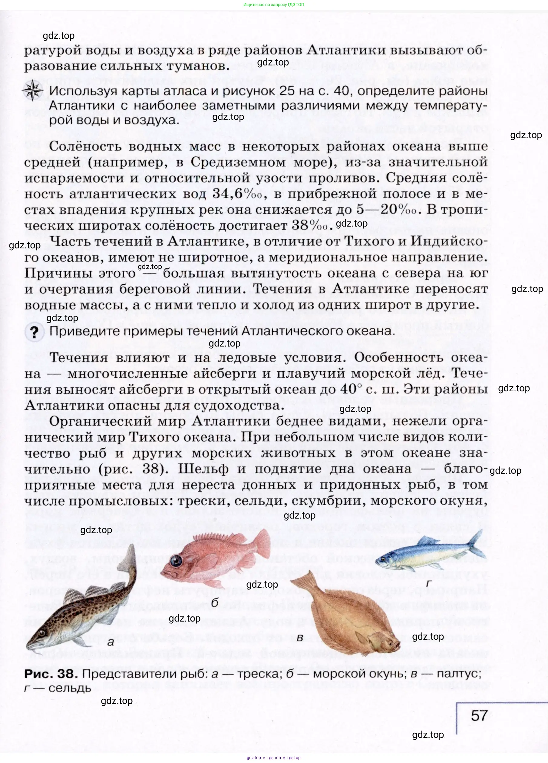 География, 7 класс Учебник, авторы: Коринская Валентина Александровна, Душина Ираида Владимировна, Щенев Владимир Андреевич, издательство Просвещение, Москва, 2022, зелёного цвета, страница 57