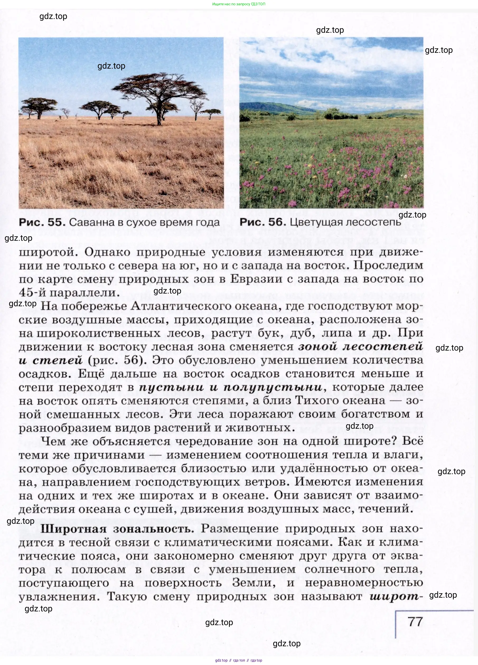 География, 7 класс Учебник, авторы: Коринская Валентина Александровна, Душина Ираида Владимировна, Щенев Владимир Андреевич, издательство Просвещение, Москва, 2022, зелёного цвета, страница 77