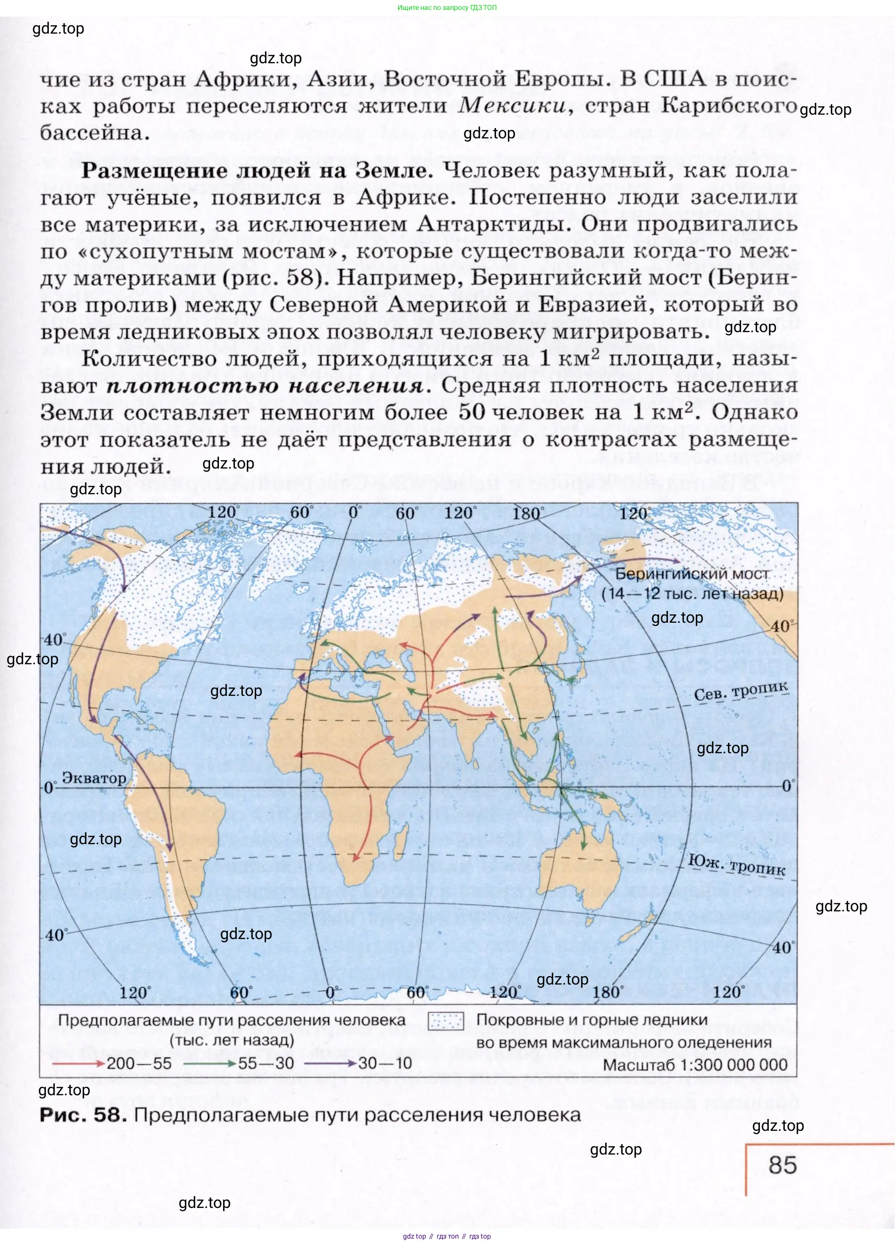 География, 7 класс Учебник, авторы: Коринская Валентина Александровна, Душина Ираида Владимировна, Щенев Владимир Андреевич, издательство Просвещение, Москва, 2022, зелёного цвета, страница 85