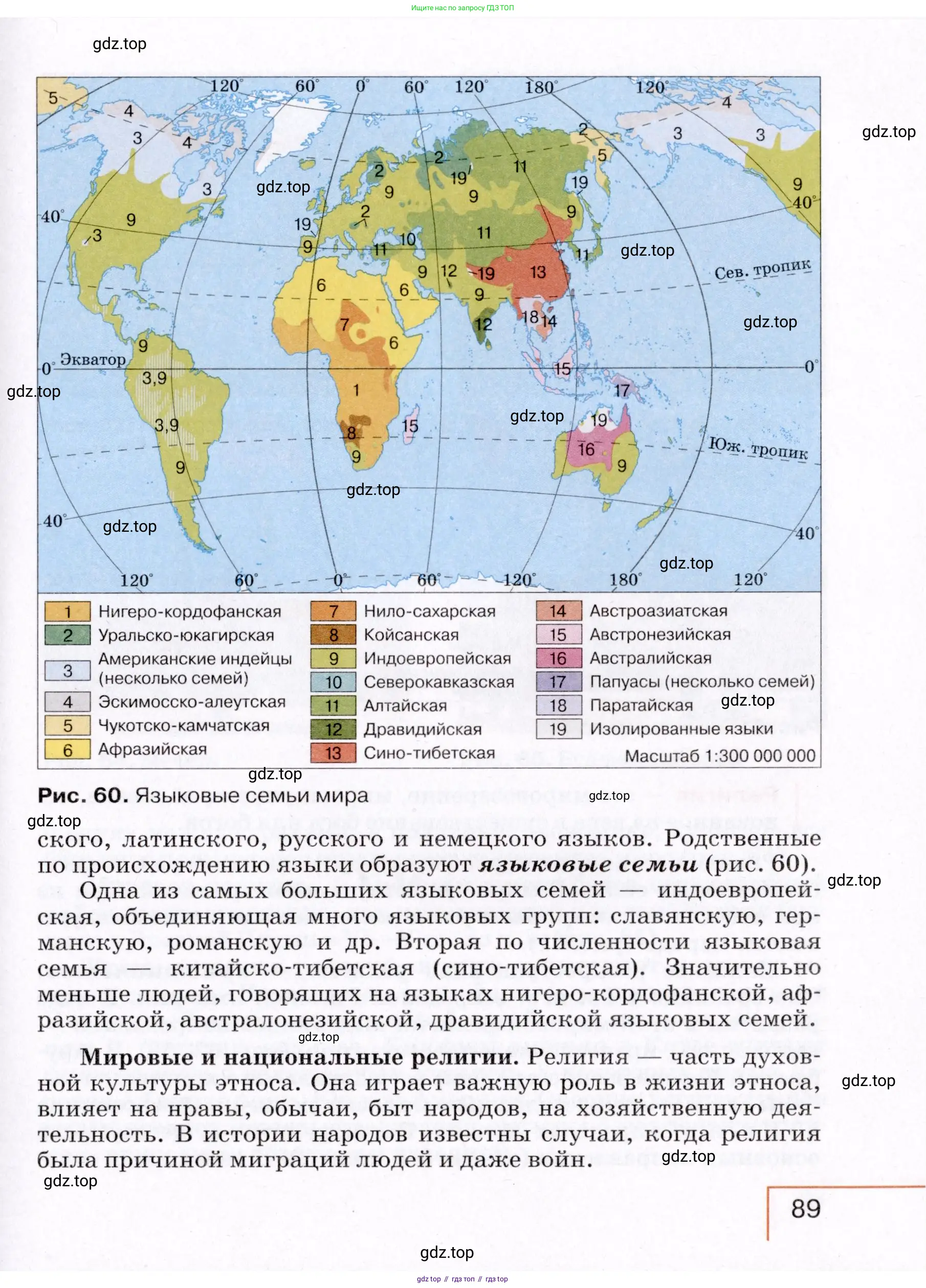 География, 7 класс Учебник, авторы: Коринская Валентина Александровна, Душина Ираида Владимировна, Щенев Владимир Андреевич, издательство Просвещение, Москва, 2022, зелёного цвета, страница 89