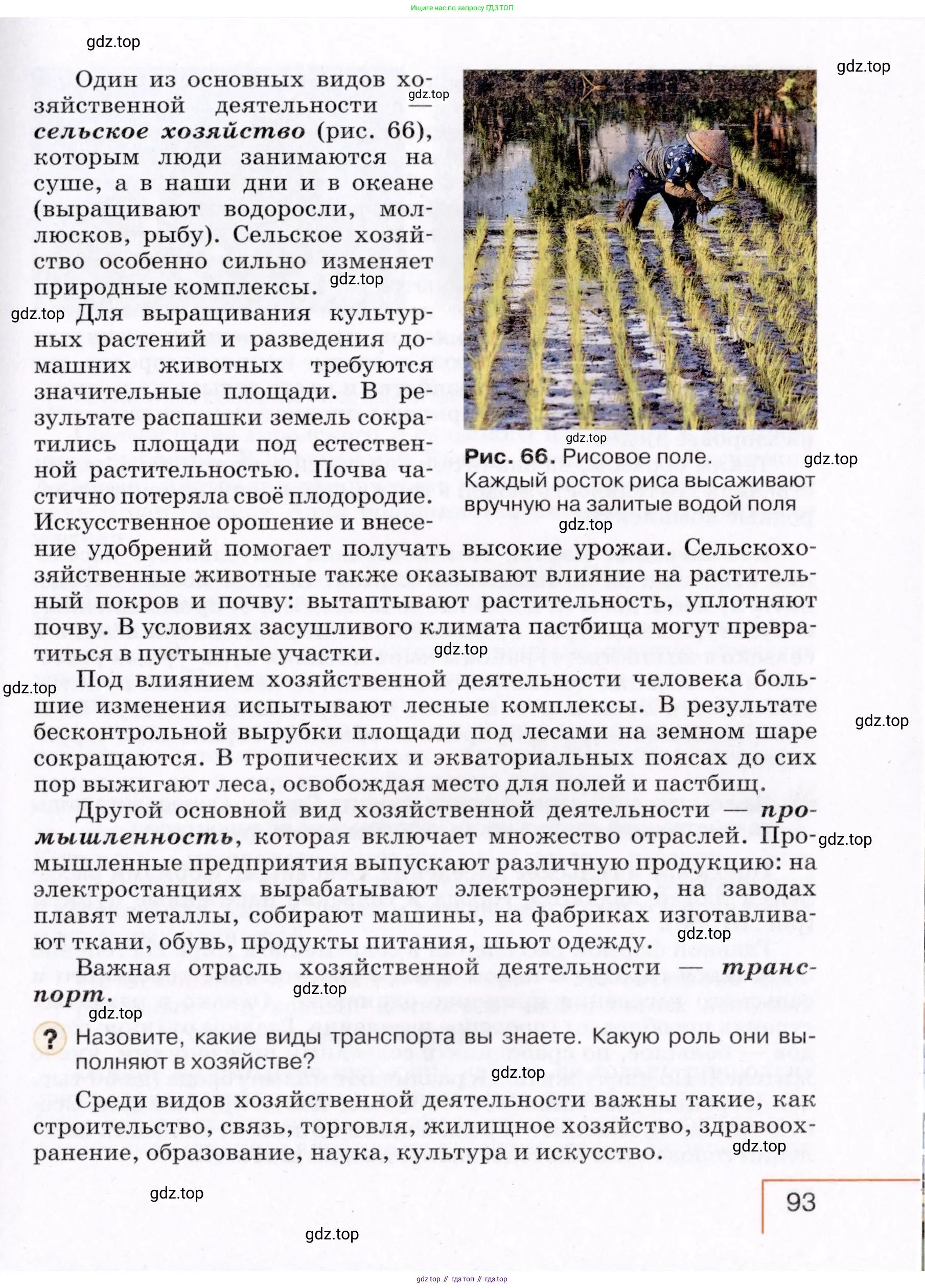 География, 7 класс Учебник, авторы: Коринская Валентина Александровна, Душина Ираида Владимировна, Щенев Владимир Андреевич, издательство Просвещение, Москва, 2022, зелёного цвета, страница 93