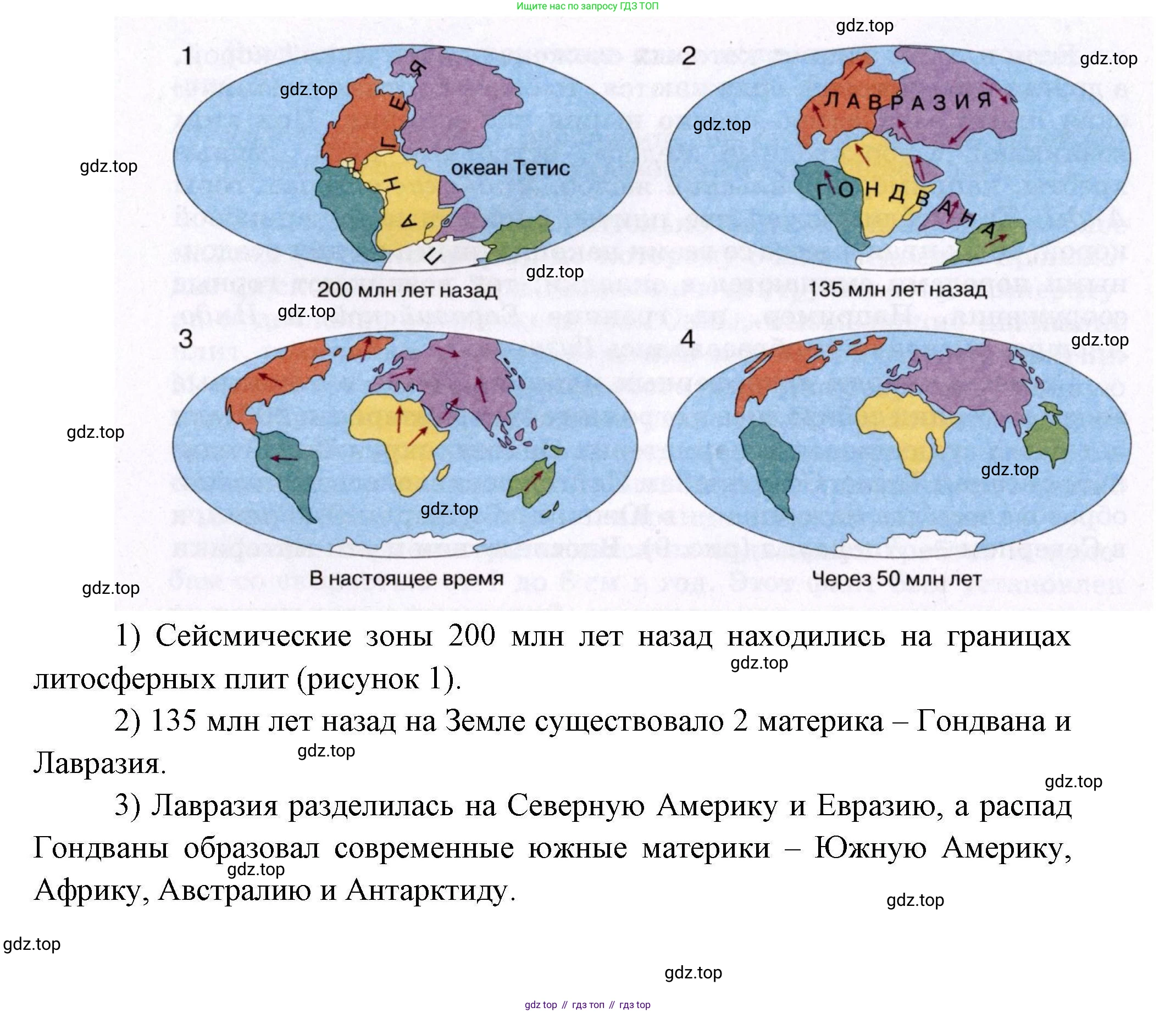География, 7 класс Учебник, авторы: Коринская Валентина Александровна, Душина Ираида Владимировна, Щенев Владимир Андреевич, издательство Просвещение, Москва, 2022, зелёного цвета, страница 21, Решение