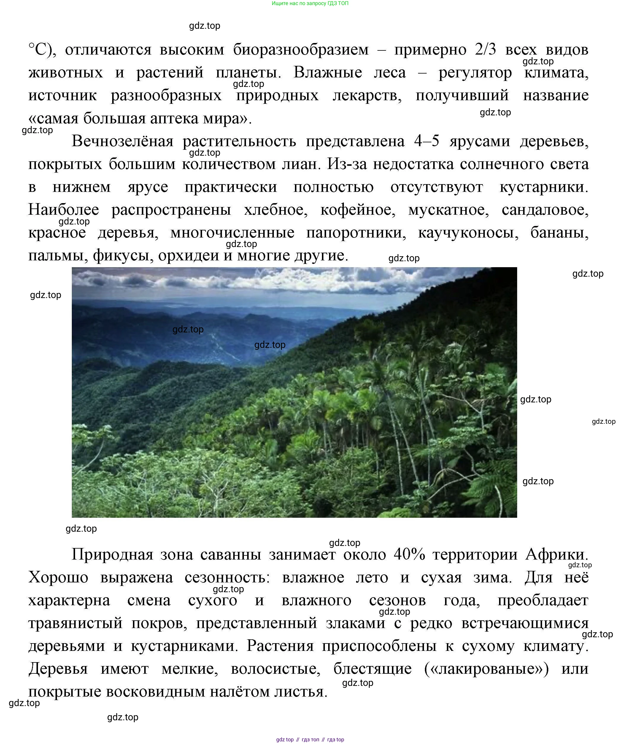 География, 7 класс Учебник, авторы: Коринская Валентина Александровна, Душина Ираида Владимировна, Щенев Владимир Андреевич, издательство Просвещение, Москва, 2022, зелёного цвета, страница 129, Решение (продолжение 4)