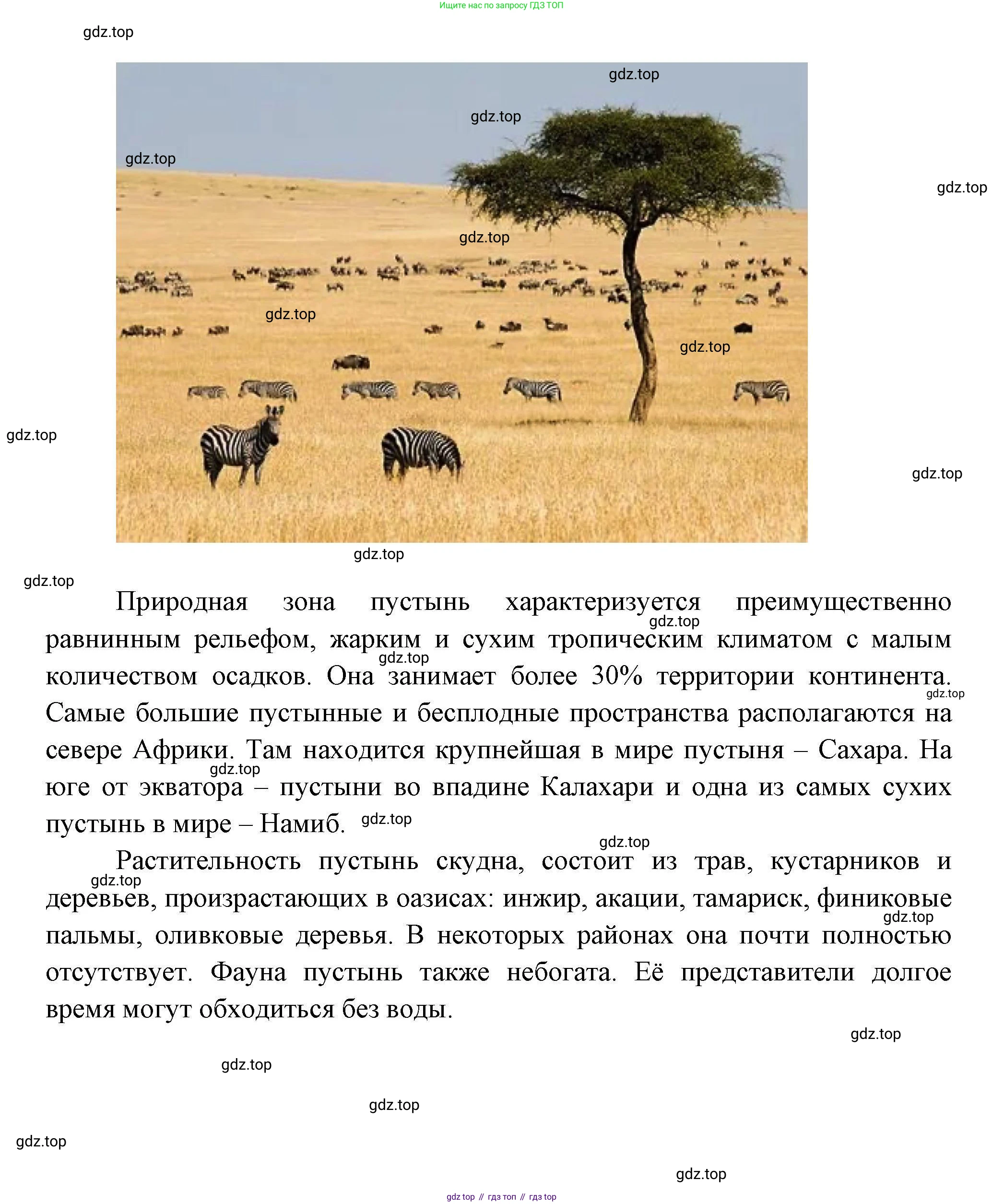 География, 7 класс Учебник, авторы: Коринская Валентина Александровна, Душина Ираида Владимировна, Щенев Владимир Андреевич, издательство Просвещение, Москва, 2022, зелёного цвета, страница 129, Решение (продолжение 5)