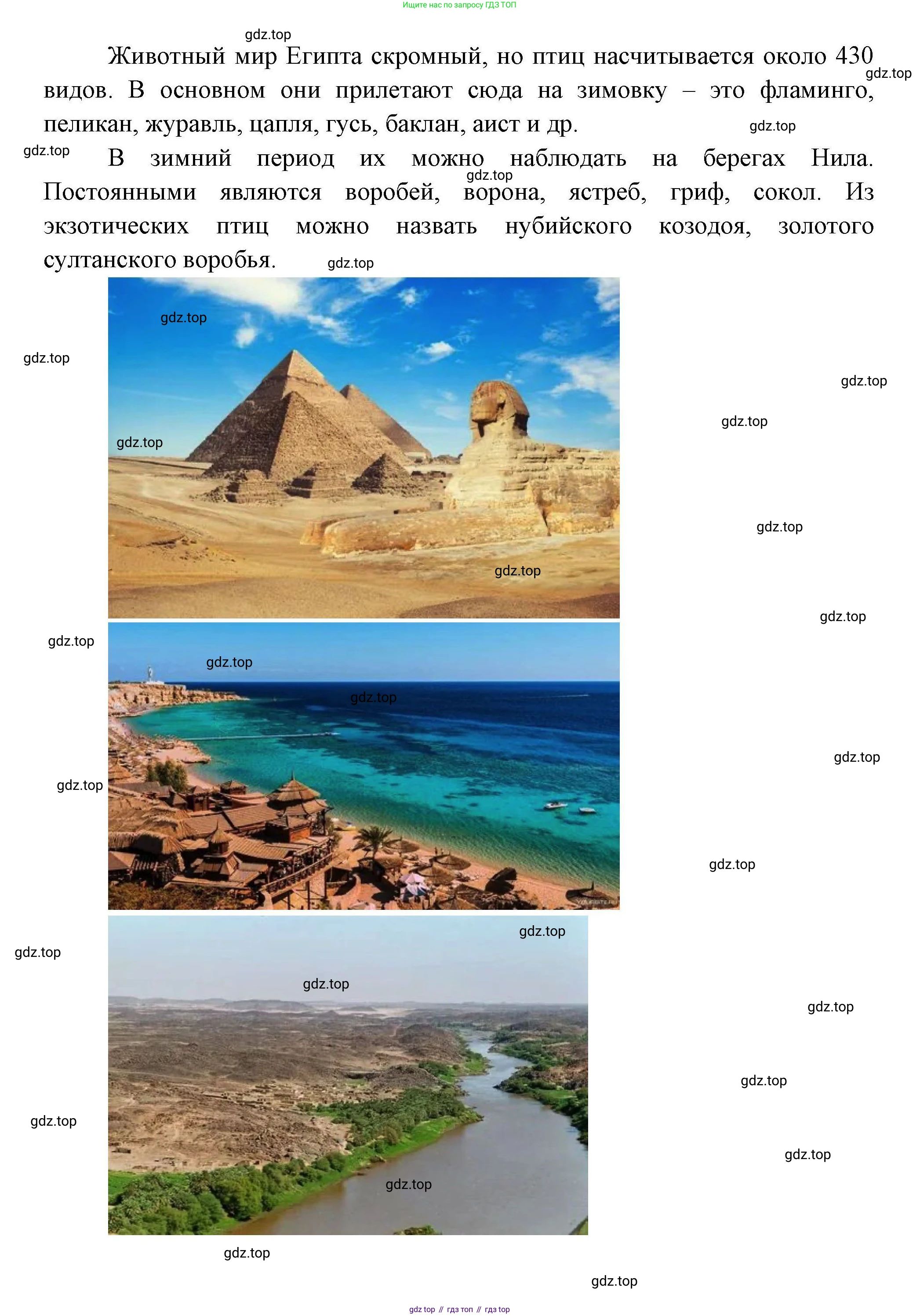 География, 7 класс Учебник, авторы: Коринская Валентина Александровна, Душина Ираида Владимировна, Щенев Владимир Андреевич, издательство Просвещение, Москва, 2022, зелёного цвета, страница 136, Решение (продолжение 2)