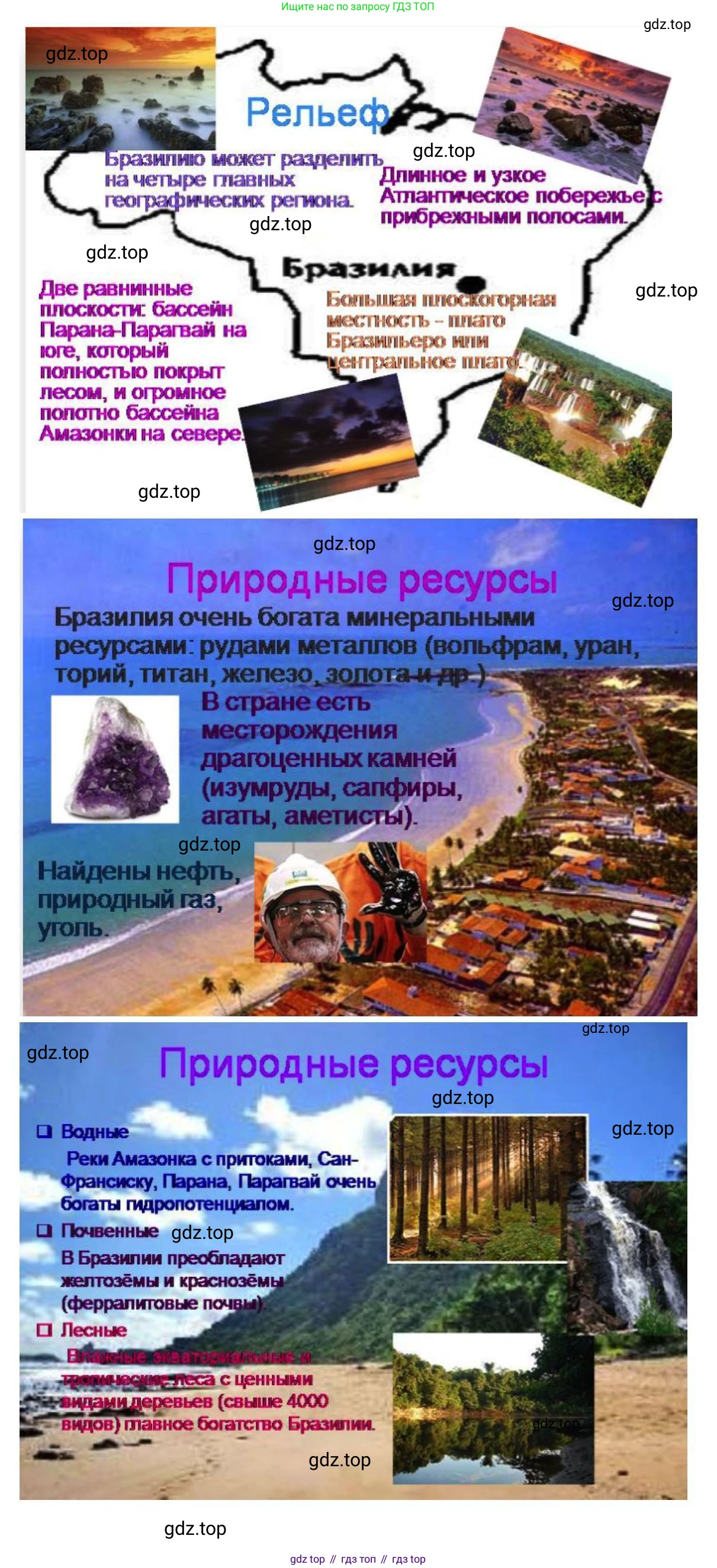 География, 7 класс Учебник, авторы: Коринская Валентина Александровна, Душина Ираида Владимировна, Щенев Владимир Андреевич, издательство Просвещение, Москва, 2022, зелёного цвета, страница 197, номер 3, Решение (продолжение 3)