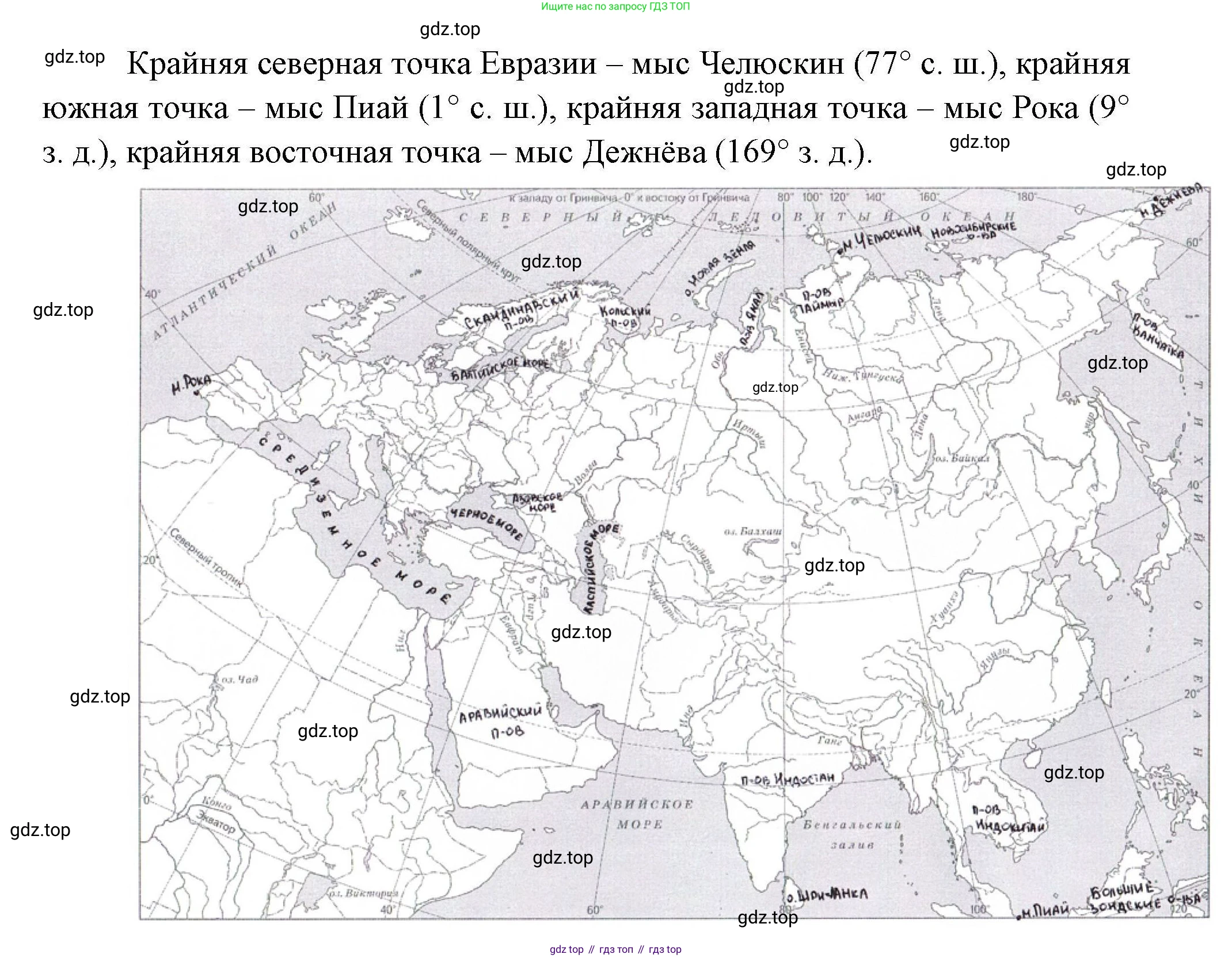 География, 7 класс Учебник, авторы: Коринская Валентина Александровна, Душина Ираида Владимировна, Щенев Владимир Андреевич, издательство Просвещение, Москва, 2022, зелёного цвета, страница 239, номер 2, Решение