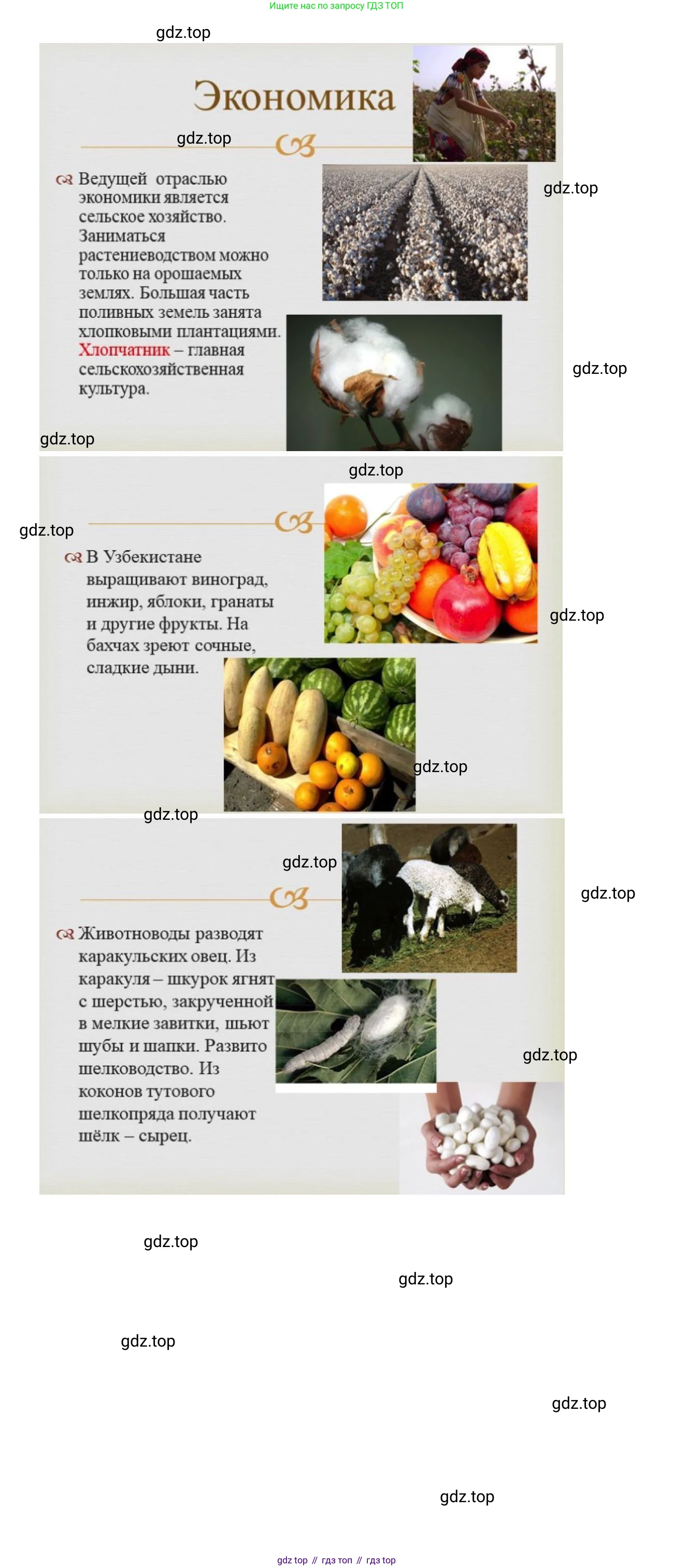 ГДЗ География, 7 класс Учебник, авторы: Коринская Валентина Александровна, Душина Ираида Владимировна, Щенев Владимир Андреевич, издательство Просвещение, Москва, 2022, зелёного цвета, страница 301, Решение (продолжение 4)