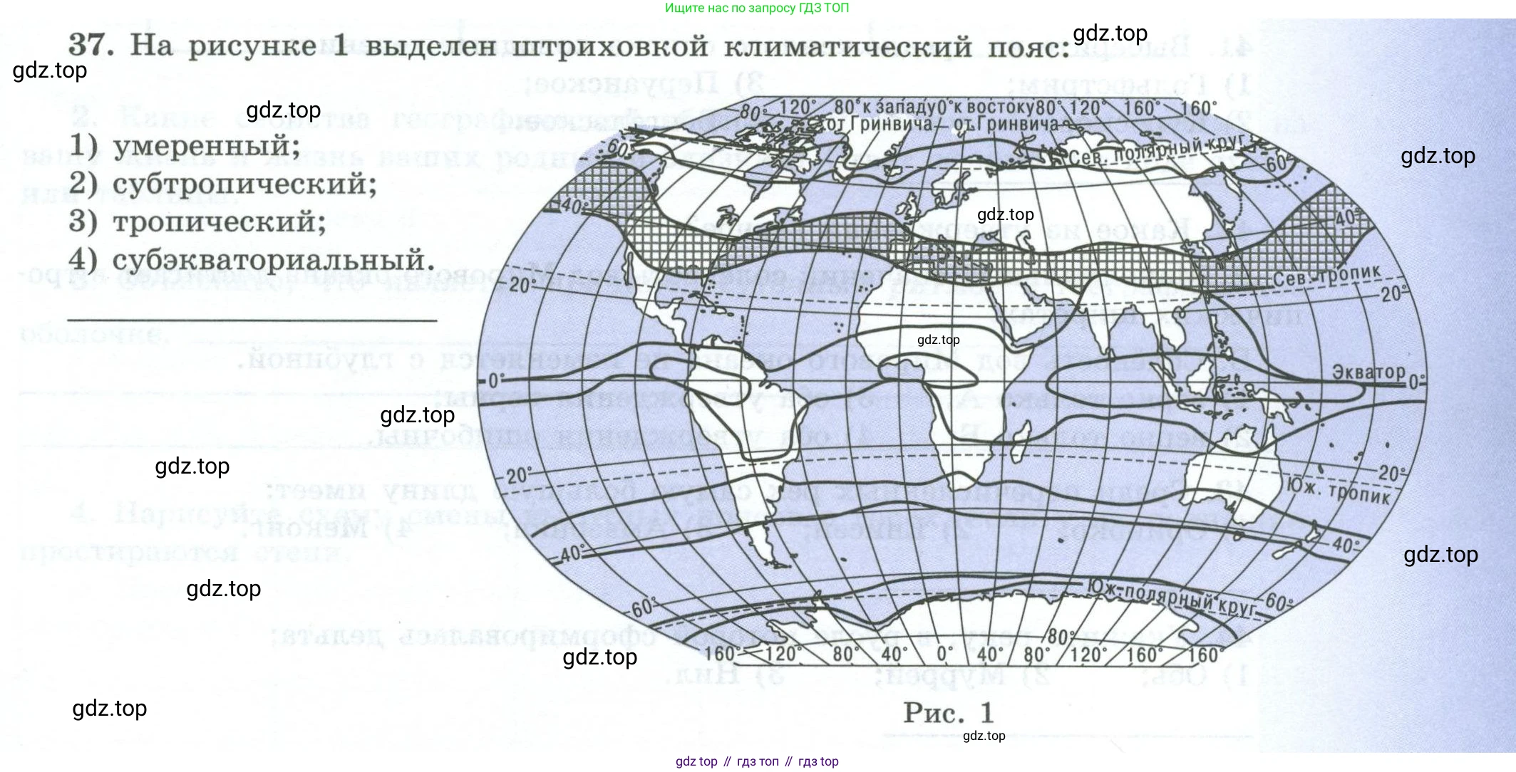 География, 7 класс Мой тренажёр, автор: Николина Вера Викторовна, издательство Просвещение, Москва, 2023, жёлтого цвета, страница 19, номер 37, Условие