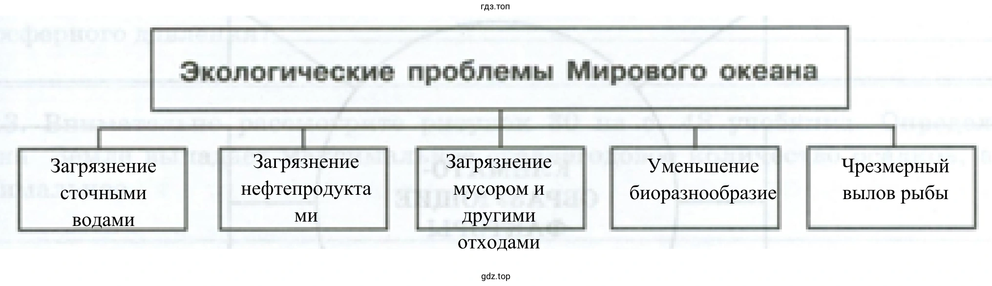 Экологические проблемы Мирового океана
