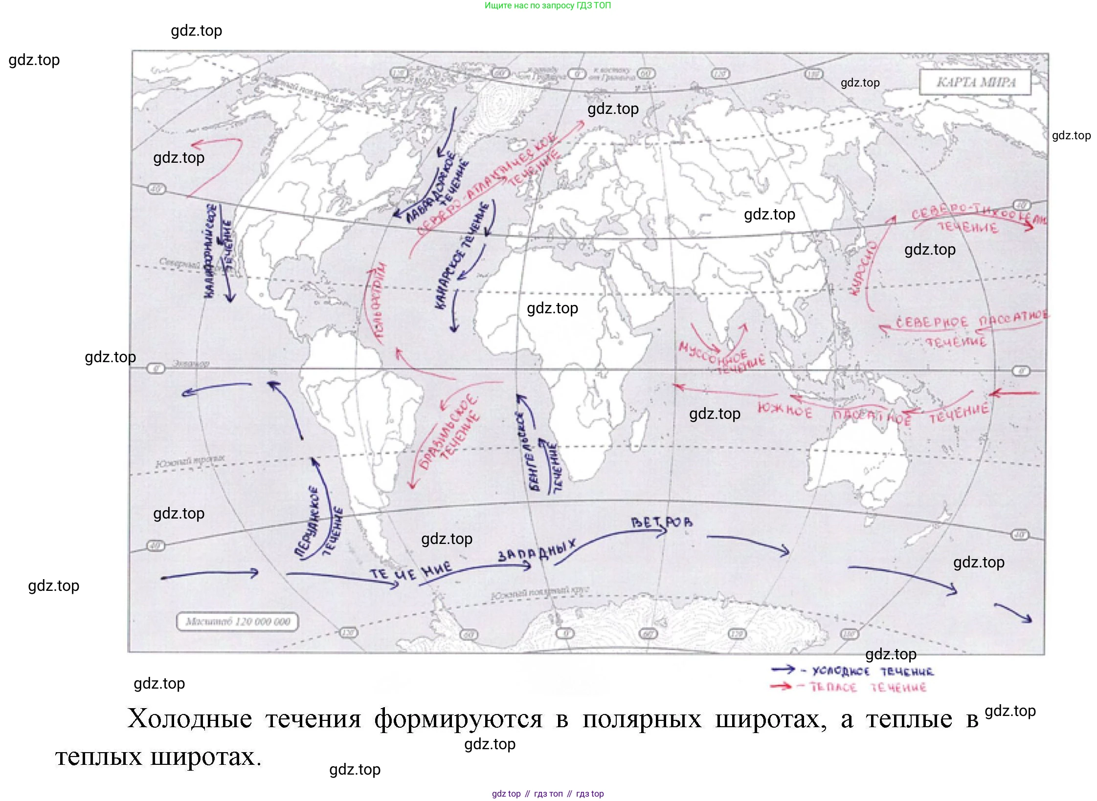 География, 7 класс Мой тренажёр, автор: Николина Вера Викторовна, издательство Просвещение, Москва, 2023, жёлтого цвета, страница 23, номер 10, Решение
