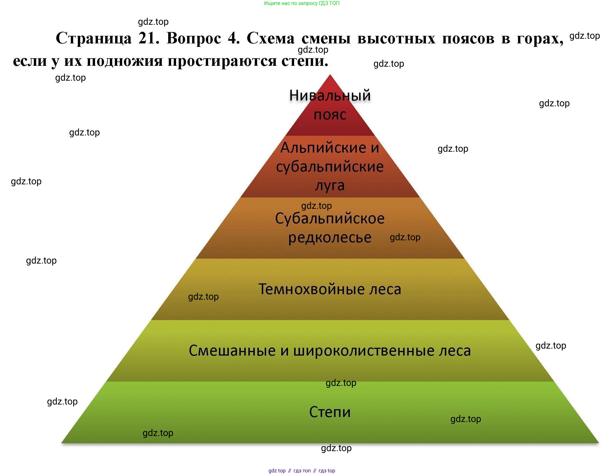 География, 7 класс Мой тренажёр, автор: Николина Вера Викторовна, издательство Просвещение, Москва, 2023, жёлтого цвета, страница 21, номер 4, Решение