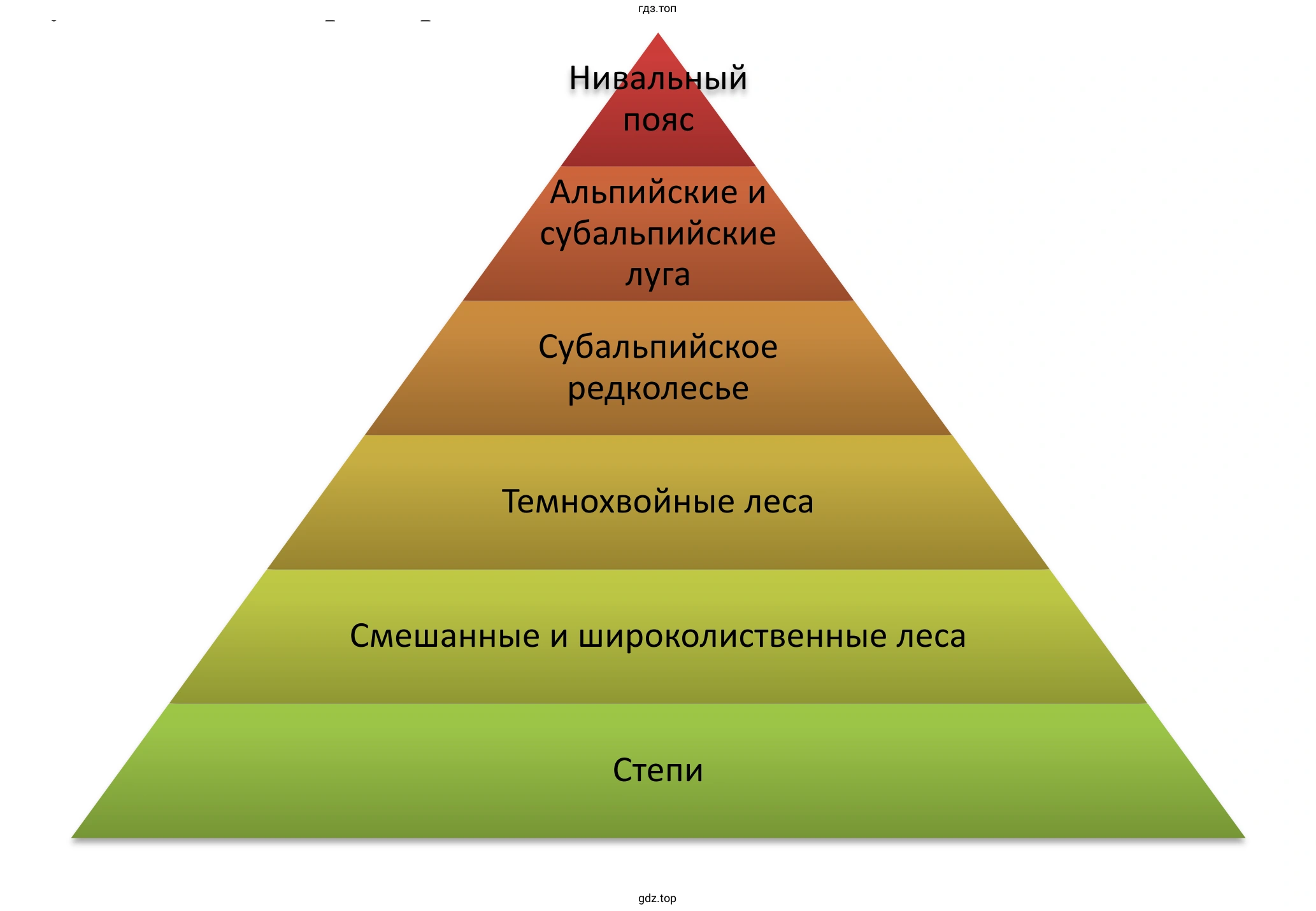 Схема смены высотных поясов в горах