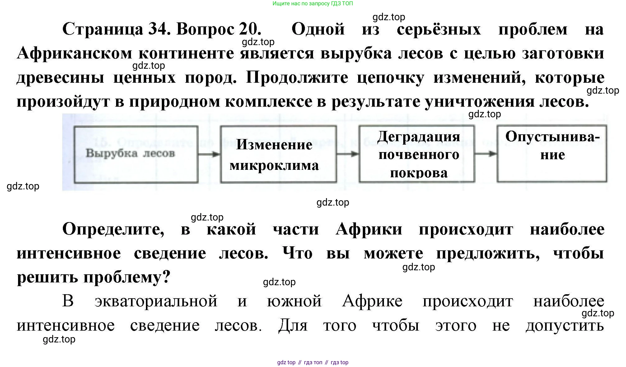 География, 7 класс Мой тренажёр, автор: Николина Вера Викторовна, издательство Просвещение, Москва, 2023, жёлтого цвета, страница 34, номер 20, Решение