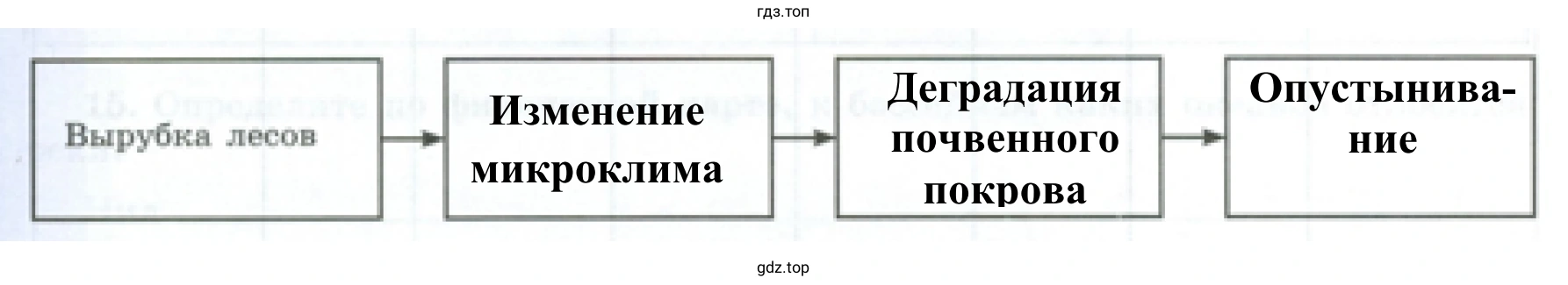 Цепочка изменений, которые произойдут в природном комплексе в результате уничтожения лесов