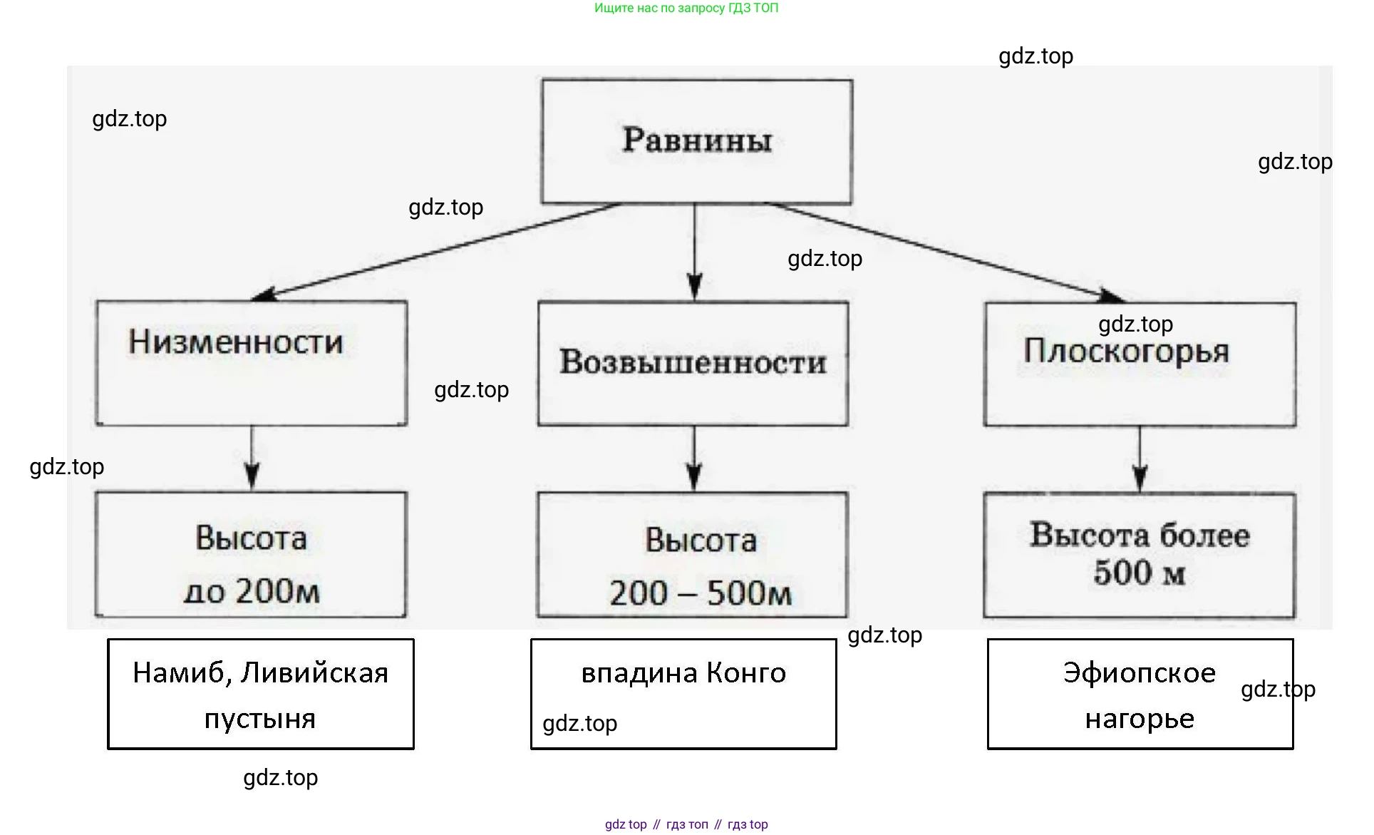 География, 7 класс Мой тренажёр, автор: Николина Вера Викторовна, издательство Просвещение, Москва, 2023, жёлтого цвета, страница 29, номер 5, Решение