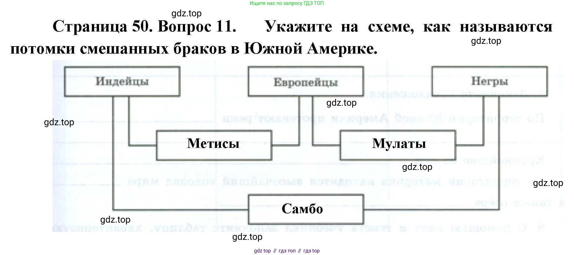 География, 7 класс Мой тренажёр, автор: Николина Вера Викторовна, издательство Просвещение, Москва, 2023, жёлтого цвета, страница 50, номер 11, Решение
